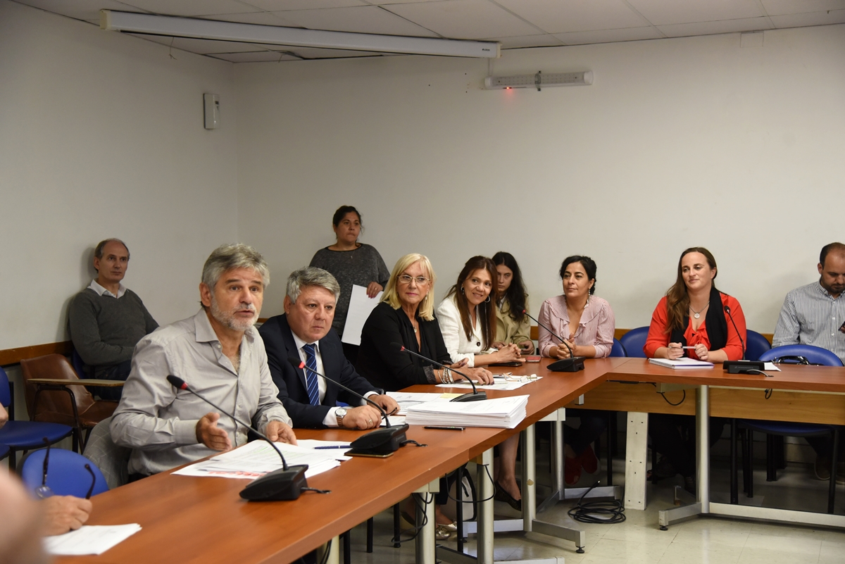 SE REUNIERON LAS COMISIONES BICAMERAL ESPECIAL INVESTIGADORA SOBRE LA DESAPARICIÓN, BÚSQUEDA Y OPERACIONES DE RESCATE DEL SUBMARINO A.R.A. SAN JUAN -LEY 27.433-; DE CULTURA; DE ASUNTOS CONSTITUCIONALES Y DE LEGISLACIÓN GENERAL