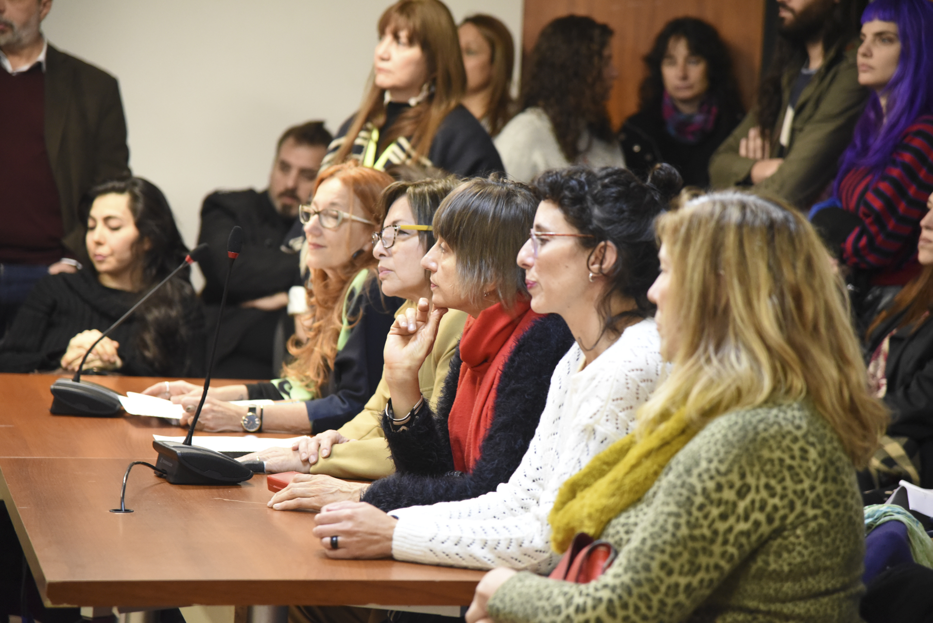 SE REUNIÓ LA COMISIÓN DE CULTURA