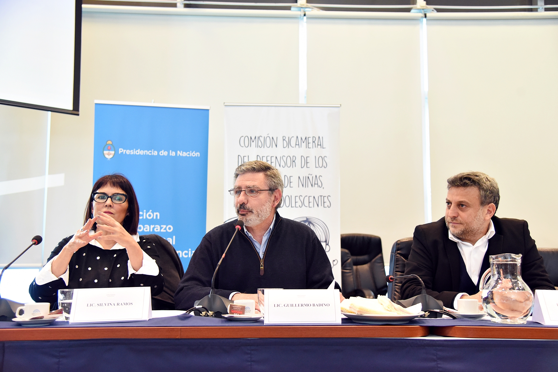 SE REUNIERON LAS SIGUIENTES COMISIONES: BICAMERAL DE LOS DERECHOS DE LOS NIÑOS, NIÑAS Y ADOLESCENTES; Y LA COMISIÓN DE TRANSPORTES