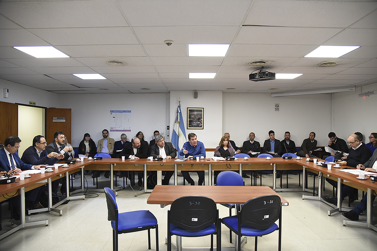 SE REUNIERON LA COMISIÓN DE DISCAPACIDAD; LA COMISIÓN DE SEGURIDAD INTERIOR; LA COMISIÓN DE BICAMERAL PERMANENTE DE TRÁMITE LEGISLATIVO - LEY 26.112; LA COMISIÓN DE LEGISLACIÓN PENAL Y LA COMISIÓN DE EDUCACiÓN