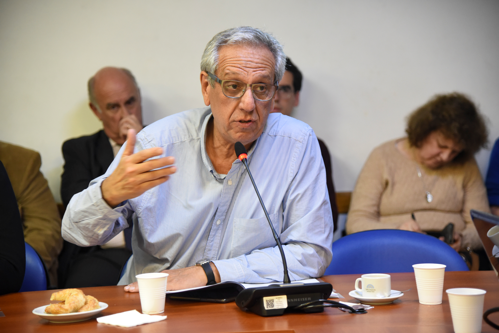 SE REUNIÓ LA COMISIÓN DE AGRICULTURA Y GANADERÍA
