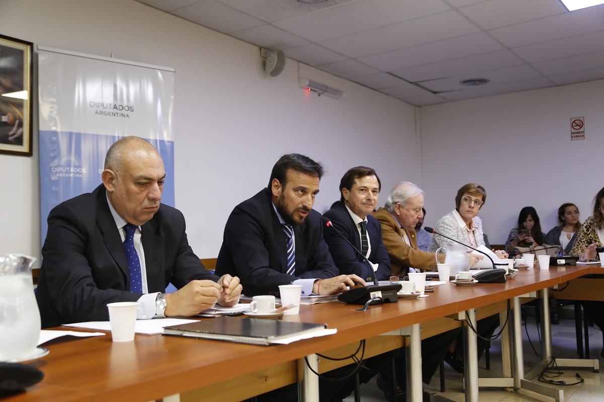 SE REUNIERON LAS COMISIONES BICAMERAL DE LOS DERECHOS DE NIÑAS, NIÑOS Y ADOLESCENTES (LEY 26.061); DE PREVENCIÓN DE ADICCIONES Y CONTROL DEL NARCOTRÁFICO; DE CULTURA; DE ACCIÓN SOCIAL Y SALUD PÚBLICA; DE JUSTICIA; DE EDUCACIÓN; DE FAMILIA, MUJER, NIÑEZ Y ADOLESCENCIA; Y DE CIENCIA, TECNOLOGÍA E INNOVACIÓN PRODUCTIVA