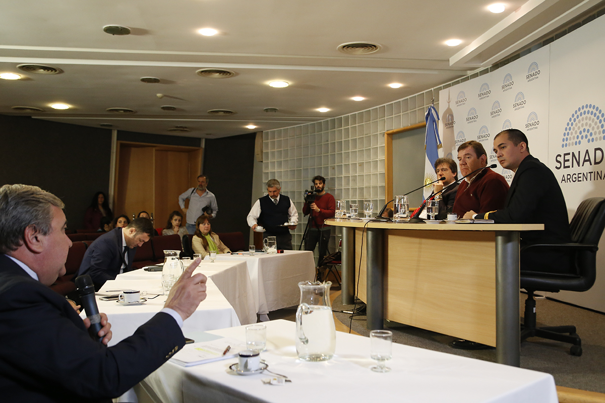 SE REUNIERON LAS COMISIONES BICAMERAL ESPECIAL INVESTIGADORA SOBRE LA DESAPARICIÓN, BÚSQUEDA Y OPERACIONES DE RESCATE DEL SUBMARINO A.R.A SAN JUAN - LEY 27433- Y LA DE LAS PERSONAS MAYORES