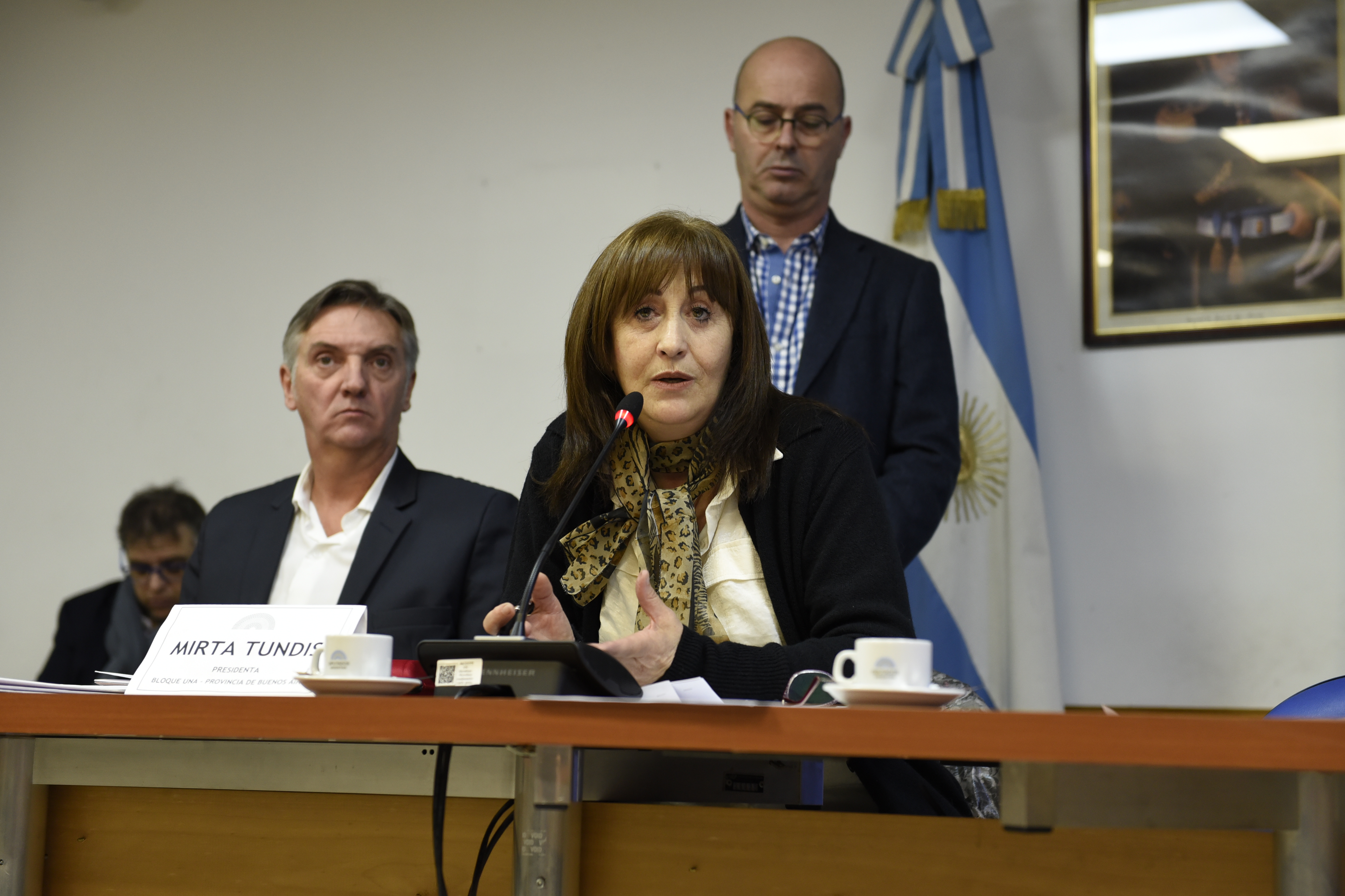 SE REUNIERON LAS COMISIONES BICAMERAL ESPECIAL INVESTIGADORA SOBRE LA DESAPARICIÓN, BÚSQUEDA Y OPERACIONES DE RESCATE DEL SUBMARINO A.R.A SAN JUAN - LEY 27433- Y LA DE LAS PERSONAS MAYORES