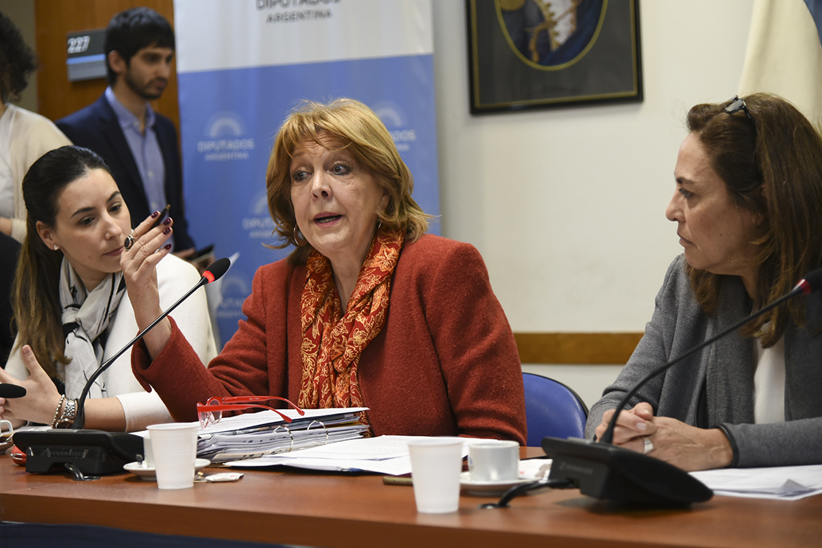 SE REUNIERON LAS COMISIONES BICAMERAL DE LOS DERECHOS DE NIÑAS, NIÑOS Y ADOLESCENTES (LEY 26.061); DE PREVENCIÓN DE ADICCIONES Y CONTROL DEL NARCOTRÁFICO; DE CULTURA; DE ACCIÓN SOCIAL Y SALUD PÚBLICA; DE JUSTICIA; DE EDUCACIÓN; DE FAMILIA, MUJER, NIÑEZ Y ADOLESCENCIA; Y DE CIENCIA, TECNOLOGÍA E INNOVACIÓN PRODUCTIVA