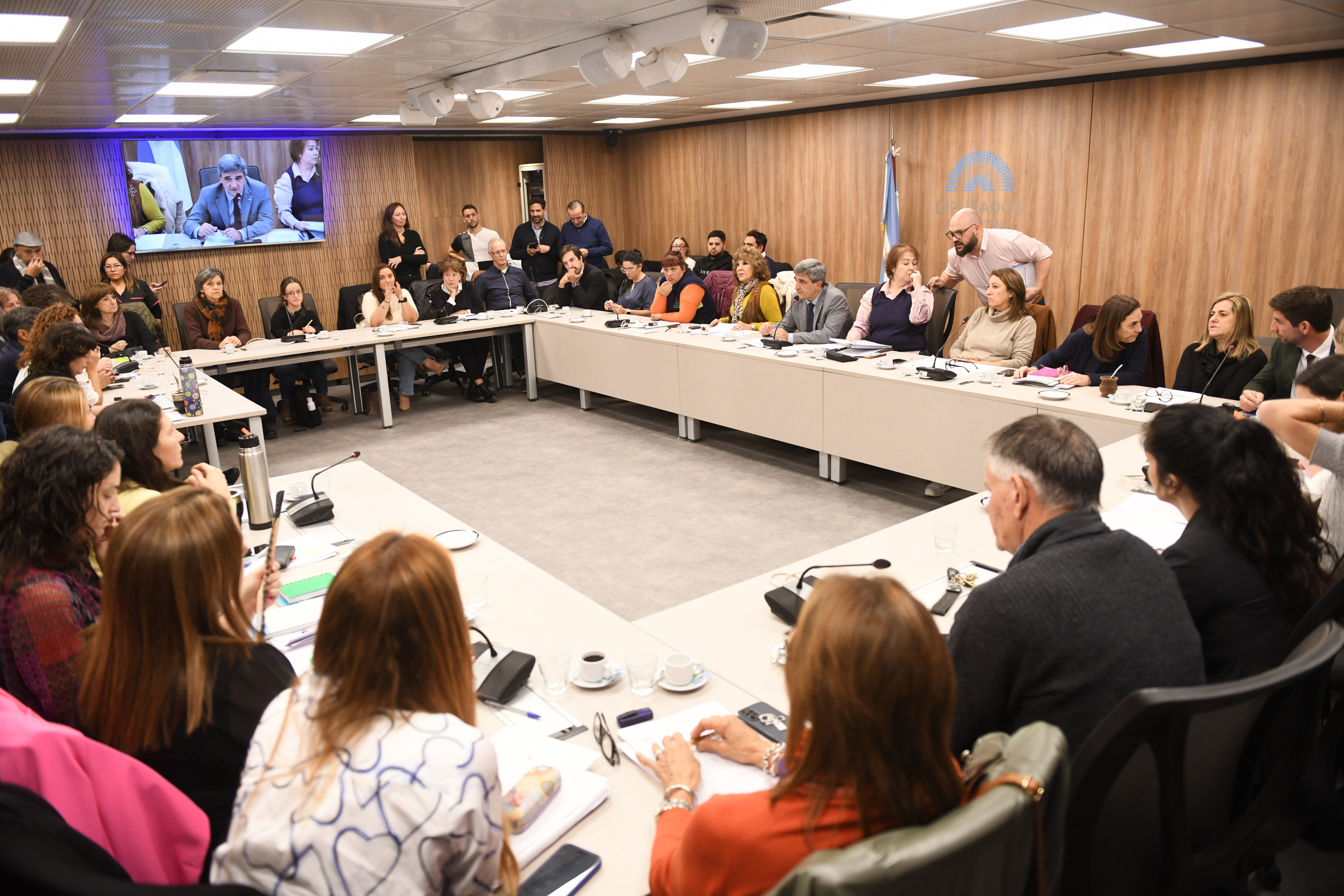 Comisión de Acción Social y Salud Pública