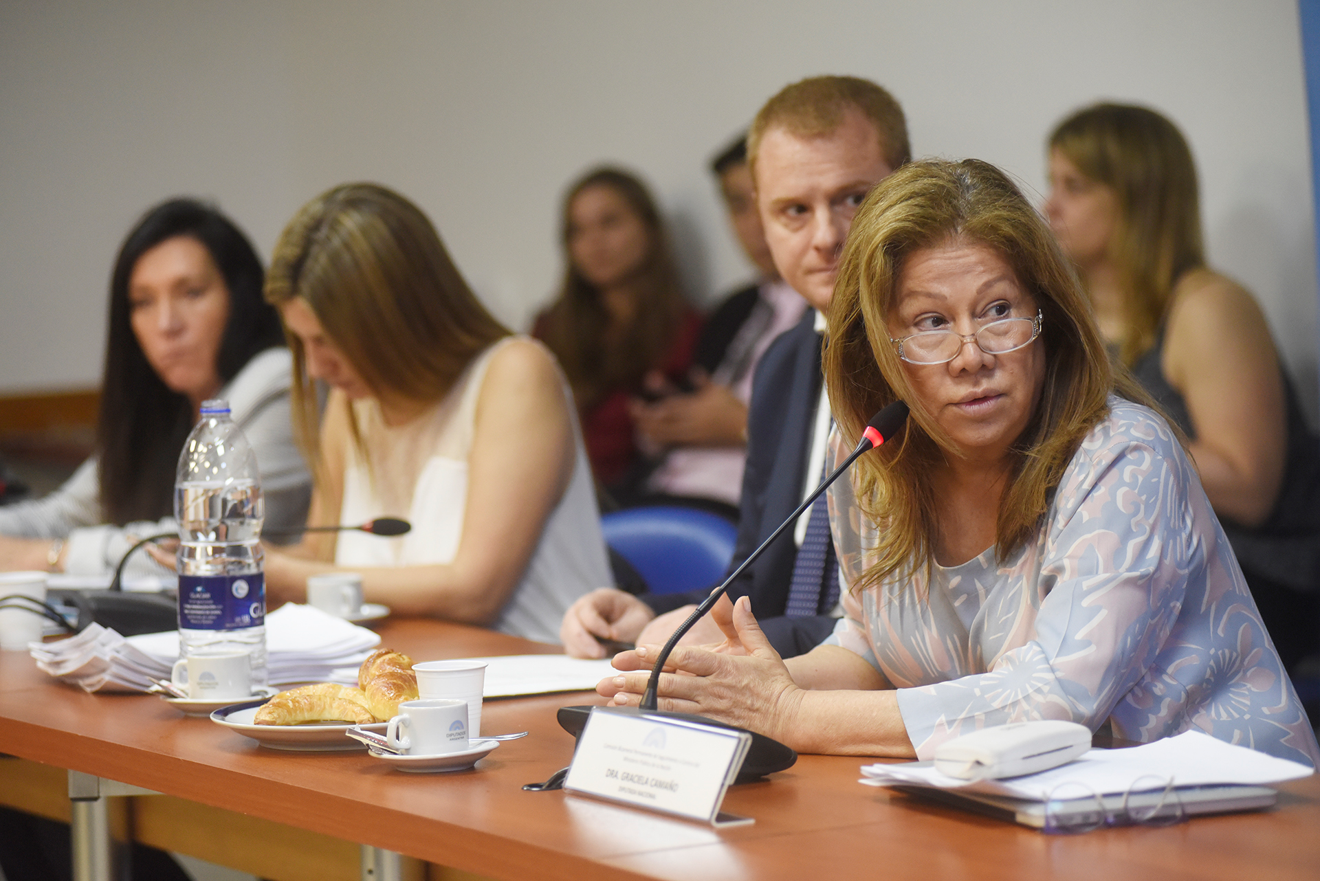 SE REUNIÓ LA COMISIÓN DE ECONOMÍAS Y DESARROLLO REGIONAL Y  LA COMISIÓN BICAMERAL PERMANENTE DE SEGUIMIENTO Y CONTROL DEL MINISTERIO PÚBLICO FISCAL