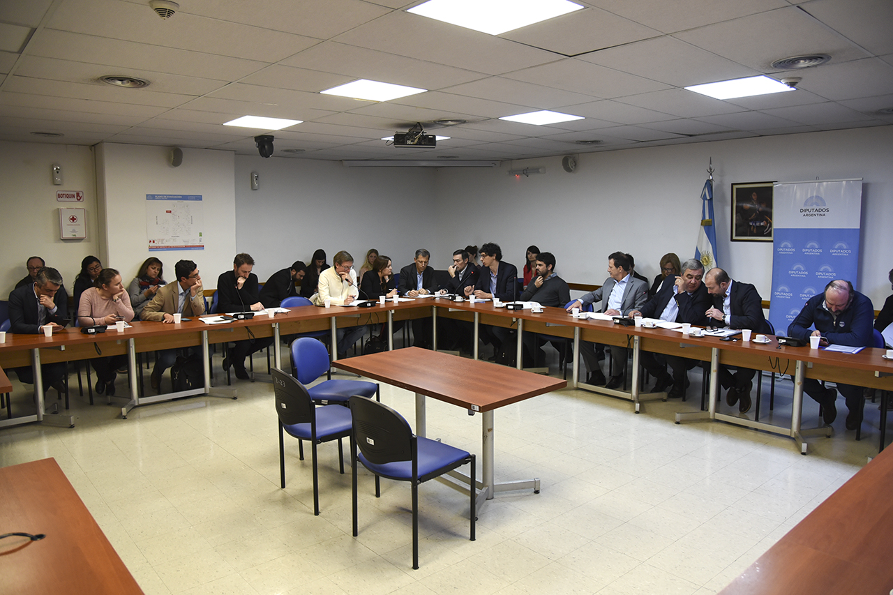 SE REUNIERON LAS COMISIONES DE ACCIÓN SOCIAL Y SALUD PÚBLICA; LA COMISIÓN DE COMERCIO; LA COMISIÓN DE ENERGÍA Y COMBUSTIBLES; LA COMISIÓN DE COMUNICACIONES E INFORMÁTICA; Y EN FORMA CONJUNTA LAS COMISIONES DE CULTURA Y DISCAPACIDAD