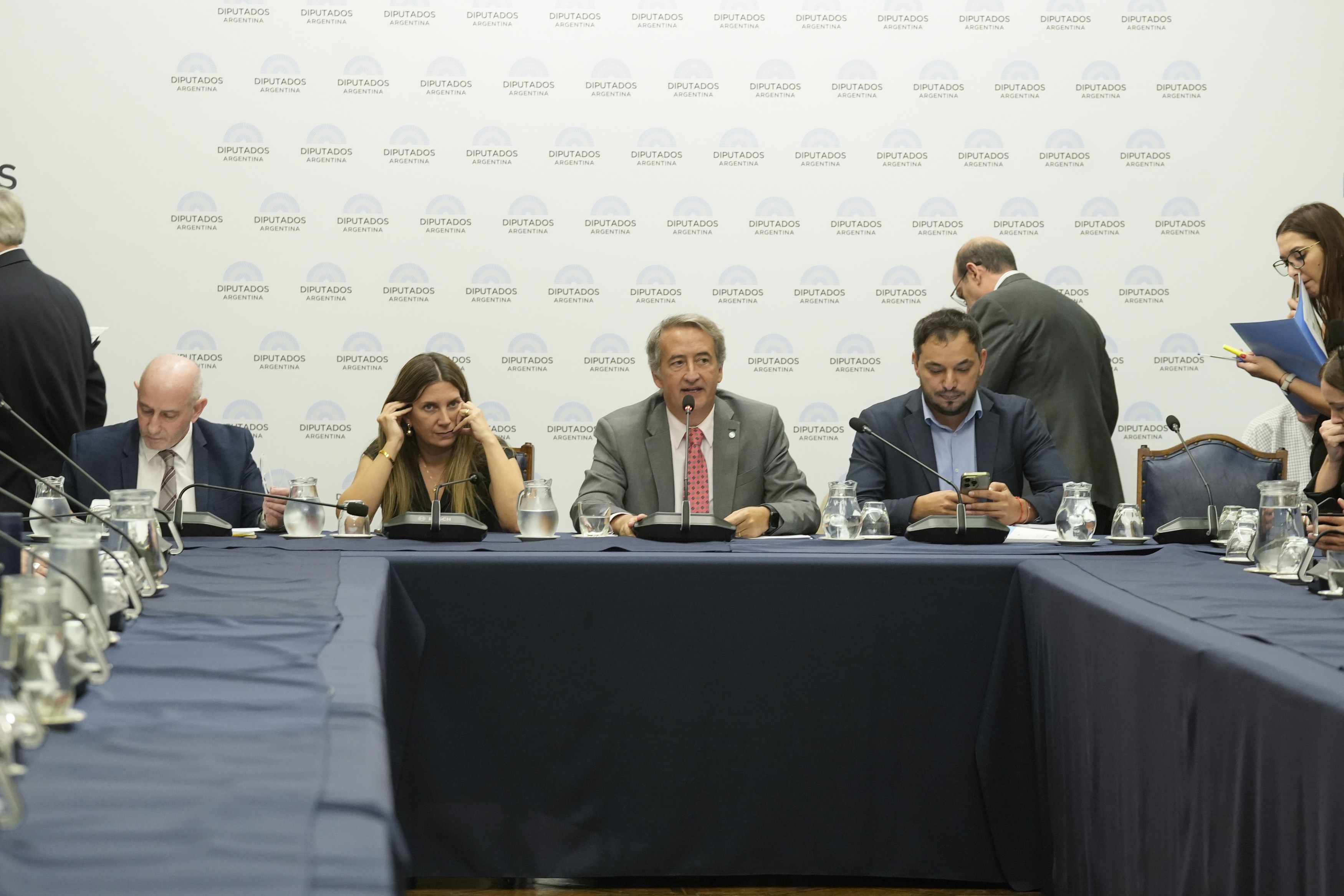 COMISIONES DE ASUNTOS CONSTITUCIONALES Y PETICIONES, PODERES Y REGLAMENTO