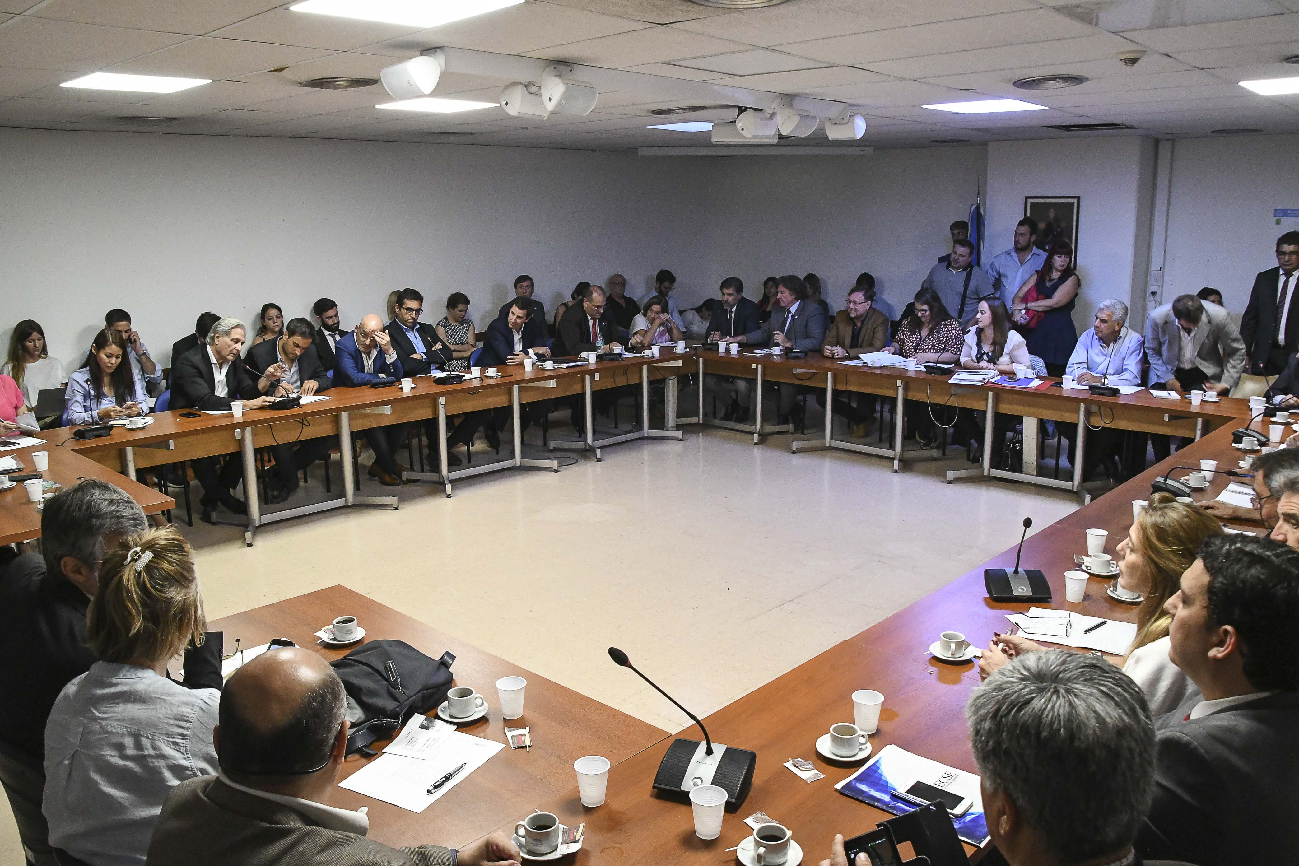 SE REUNIERON LAS COMISIONES DE LEGISLACIÓN GENERAL; DE LEGISLACIÓN PENAL; DE FAMILIA, MUJER, NIÑEZ Y ADOLESCENCIA; DE ACCIÓN SOCIAL Y SALUD PÚBLICA; DE DEFENSA DEL CONSUMIDOR, DEL USUARIO Y DE LA COMPETENCIA; DE AGRICULTURA Y GANADERÍA; DE ECONOMÍAS Y DESARROLLO REGIONAL; DE ENERGÍA Y COMBUSTIBLES; DE DEFENSA NACIONAL Y LA BICAMERAL PERMANENTE DE TRÁMITE LEGISLATIVO (LEY 26.122)