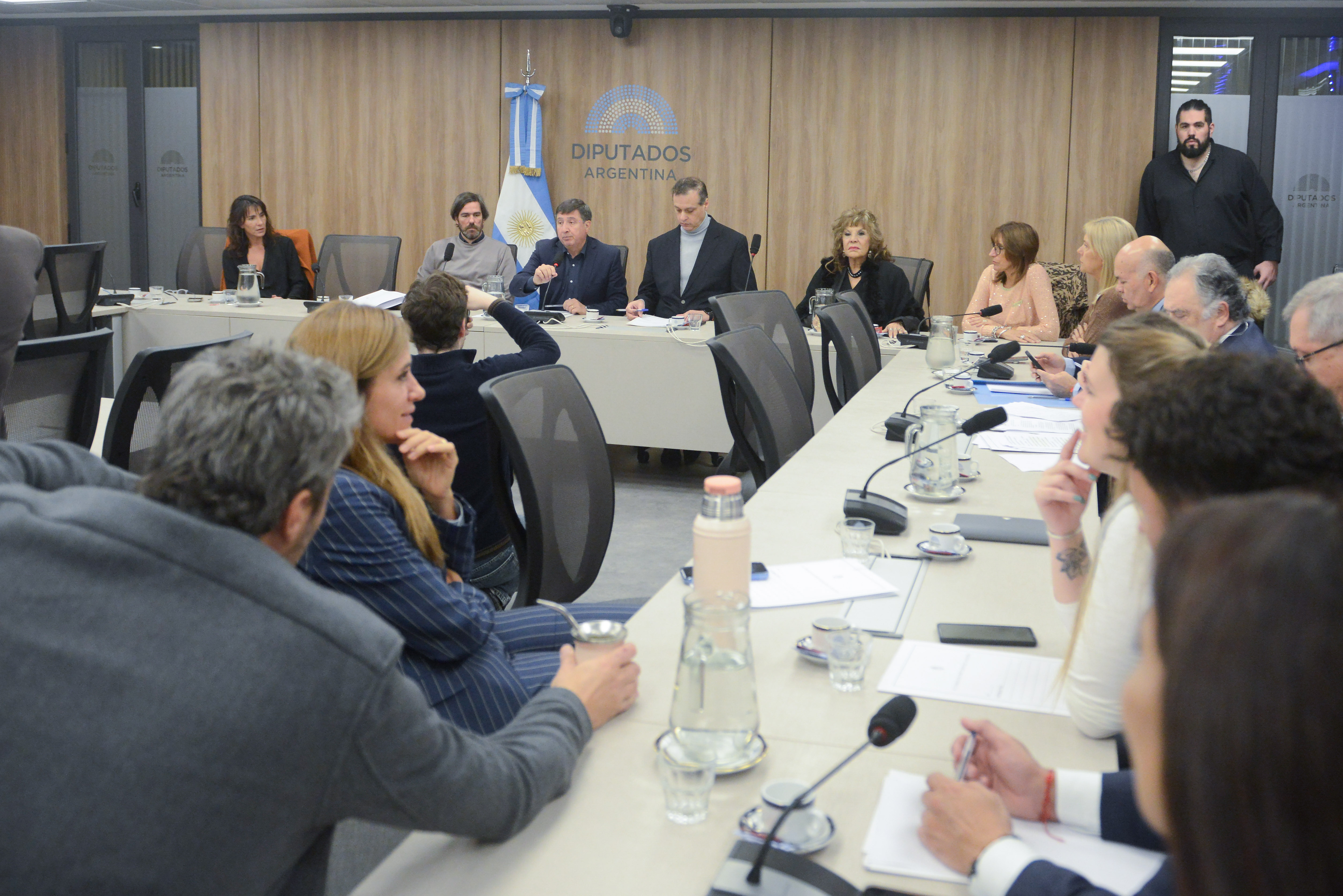 Comisión de Discapacidad