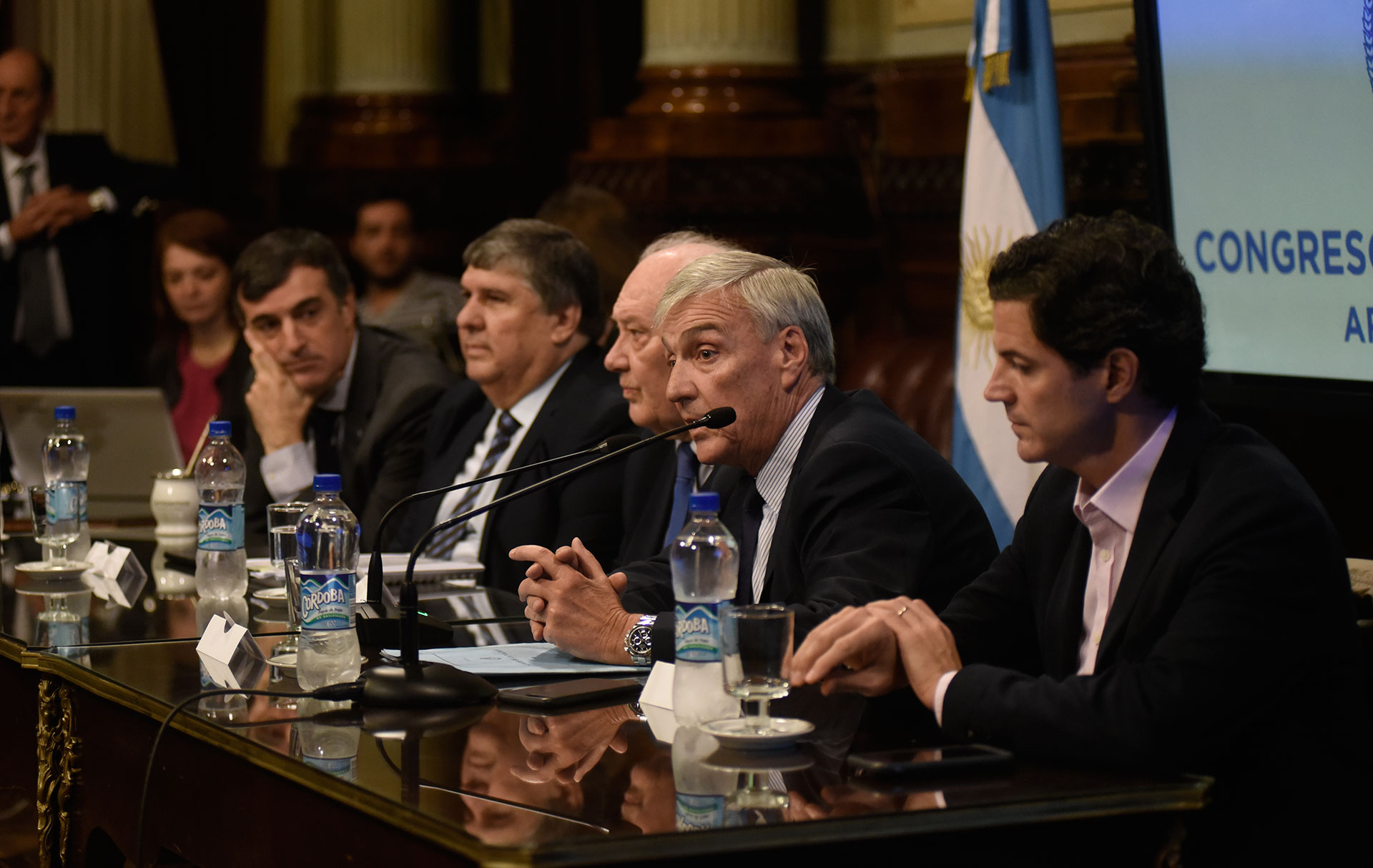 SE REUNIERON LAS COMISIONES DE LEGISLACIÓN GENERAL; DE LEGISLACIÓN PENAL; DE FAMILIA, MUJER, NIÑEZ Y ADOLESCENCIA; DE ACCIÓN SOCIAL Y SALUD PÚBLICA; DE RELACIONES EXTERIORES Y CULTO; DE ENERGÍA Y COMBUSTIBLES; Y LA PARLAMENTARIA MIXTA REVISORA DE CUENTAS