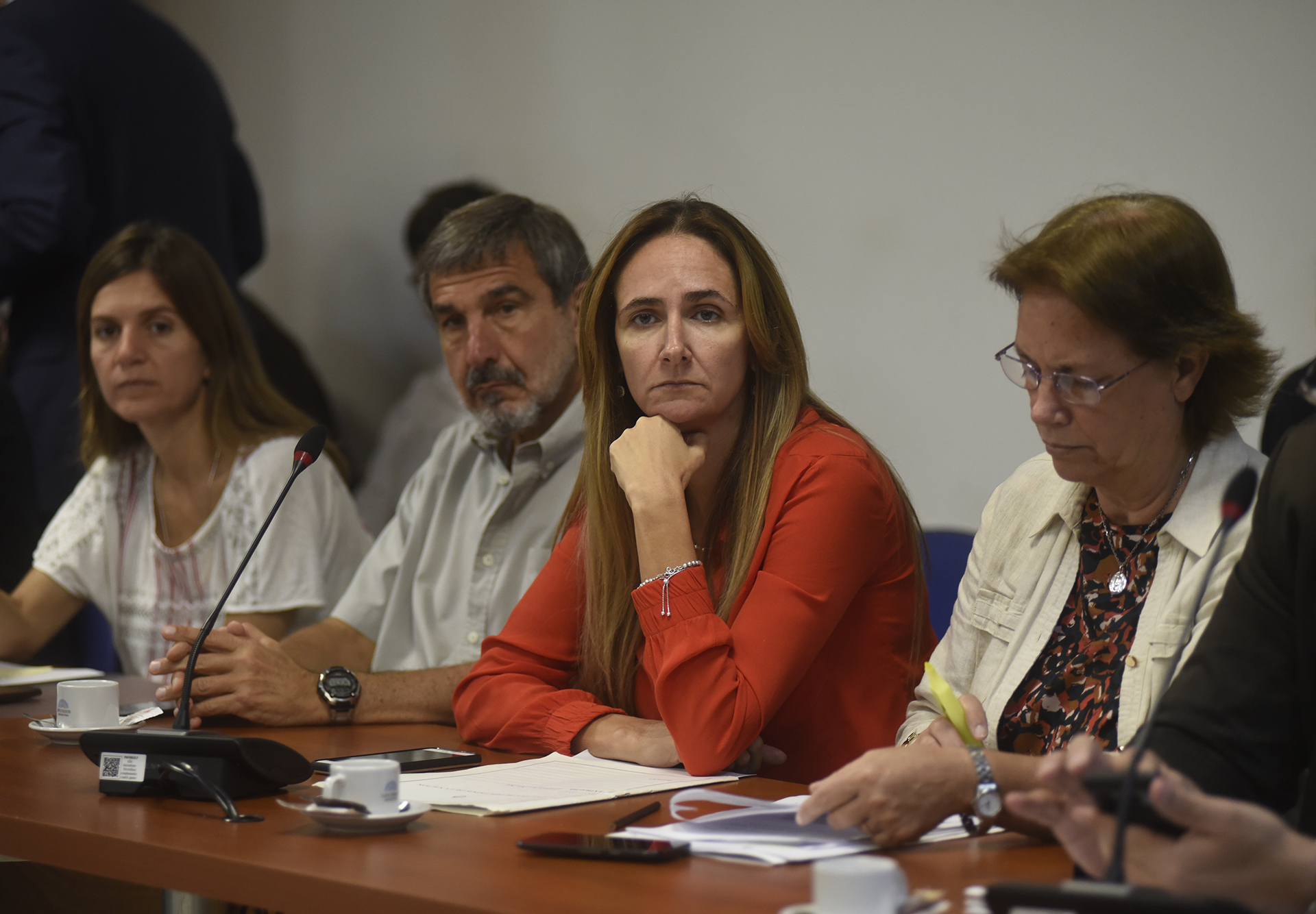 SE REUNIERON LAS COMISIONES DE LEGISLACIÓN GENERAL; DE LEGISLACIÓN PENAL; DE FAMILIA, MUJER, NIÑEZ Y ADOLESCENCIA; DE ACCIÓN SOCIAL Y SALUD PÚBLICA; DE INTERESES MARÍTIMOS, FLUVIALES, PESQUEROS Y PORTUARIOS; DE DEPORTES; DE JUSTICIA; DE RELACIONES EXTERIORES Y CULTO; DE COMUNICACIONES E INFORMÁTICA Y DE PRESUPUESTO Y HACIENDA