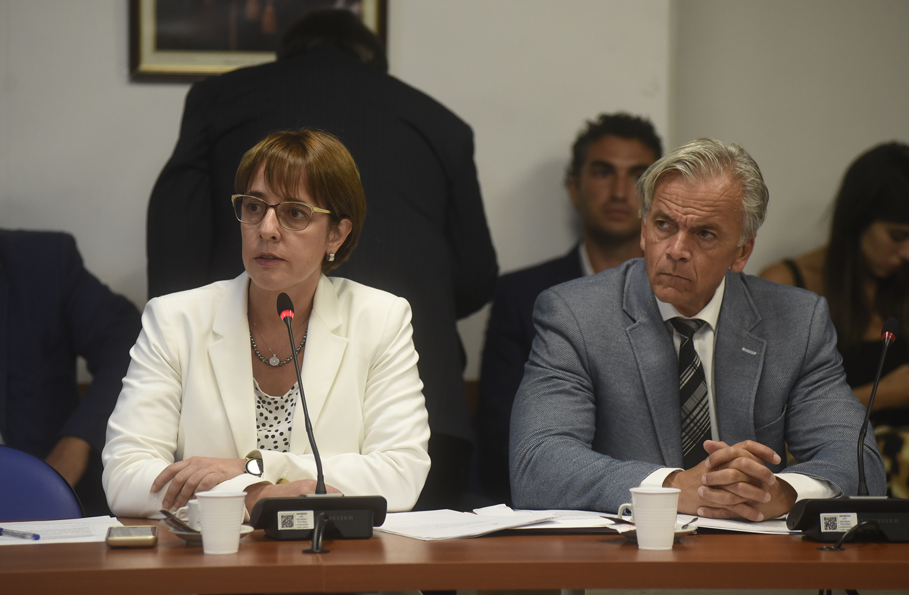 SE REUNIERON LAS COMISIONES DE ASUNTOS COOPERATIVOS, MUTUALES Y DE ORGANIZACIONES NO GUBERNAMENTALES; DE LEGISLACIÓN PENAL; DE DEPORTES; DE FINANZAS; DE PEQUEÑAS Y MEDIANAS EMPRESAS; DE LEGISLACIÓN GENERAL; DE ASUNTOS CONSTITUCIONALES; DE JUSTICIA; DE TRANSPORTES; DE FAMILIA, MUJER, NIÑEZ Y ADOLESCENCIA, Y DE ACCIÓN SOCIAL Y SALUD PÚBLICA. ADEMÁS, SE CONSTITUYÓ LA COMISIÓN BICAMERAL ESPECIAL INVESTIGADORA SOBRE LA DESAPARICIÓN, BÚSQUEDA Y OPERACIONES DE RESCATE DEL SUBMARINO ARA SAN JUAN (LEY 27.433)