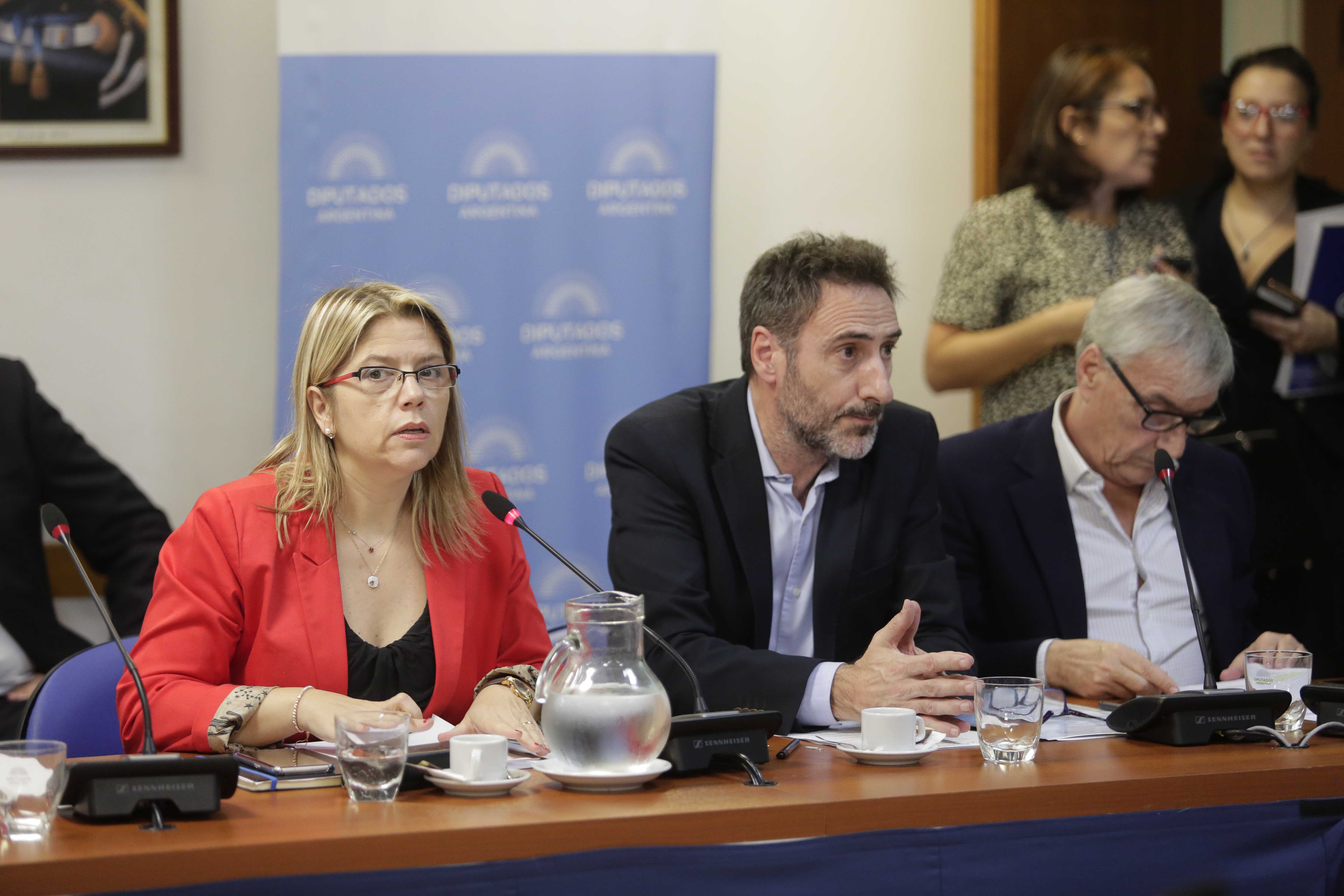 SE REUNIERON LAS COMISIONES DE LEGISLACIÓN GENERAL; DE LEGISLACIÓN PENAL; DE FAMILIA, MUJER, NIÑEZ Y ADOLESCENCIA; DE ACCIÓN SOCIAL Y SALUD PUBLICA; DE MINERÍA; DE TRANSPORTES; DE ENERGÍA Y COMBUSTIBLES; LA BICAMERAL ESPECIAL INVESTIGADORA SOBRE LA DESAPARICIÓN, BÚSQUEDA Y OPERACIONES DE RESCATE DEL SUBMARINO ARA SAN JUAN - LEY 27.433 - Y LA BICAMERAL PERMANENTE DE TRAMITE LEGISLATIVO - LEY 26.122 