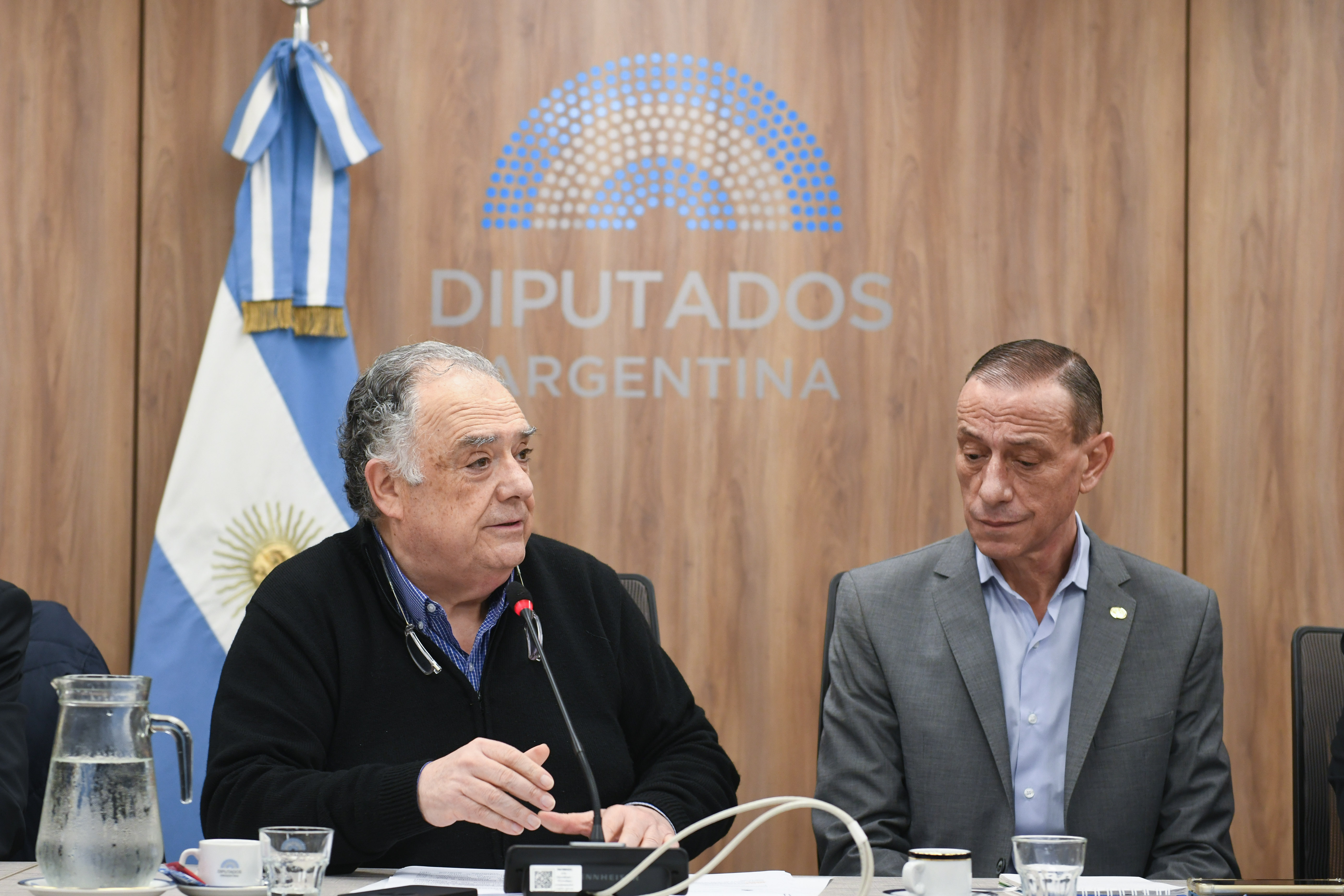Comisión de Mercosur