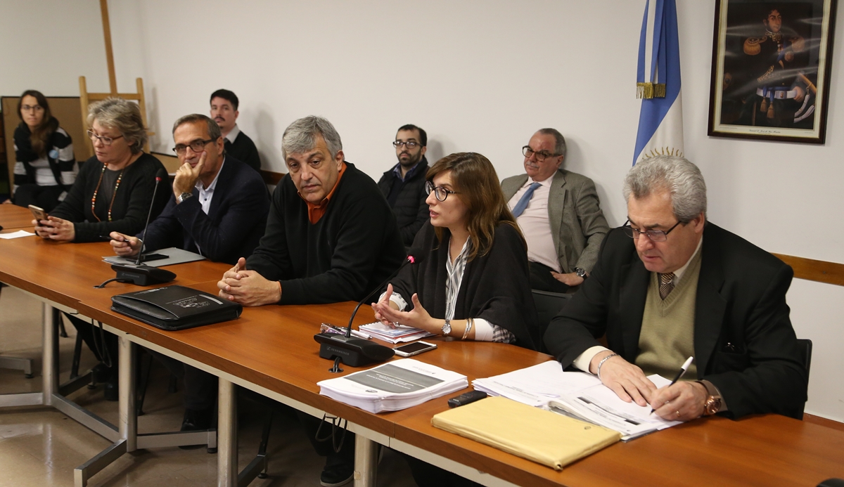 SE REUNIÓ LA COMISIÓN DE CIENCIA, TECNOLOGÍA E INNOVACIÓN PRODUCTIVA
