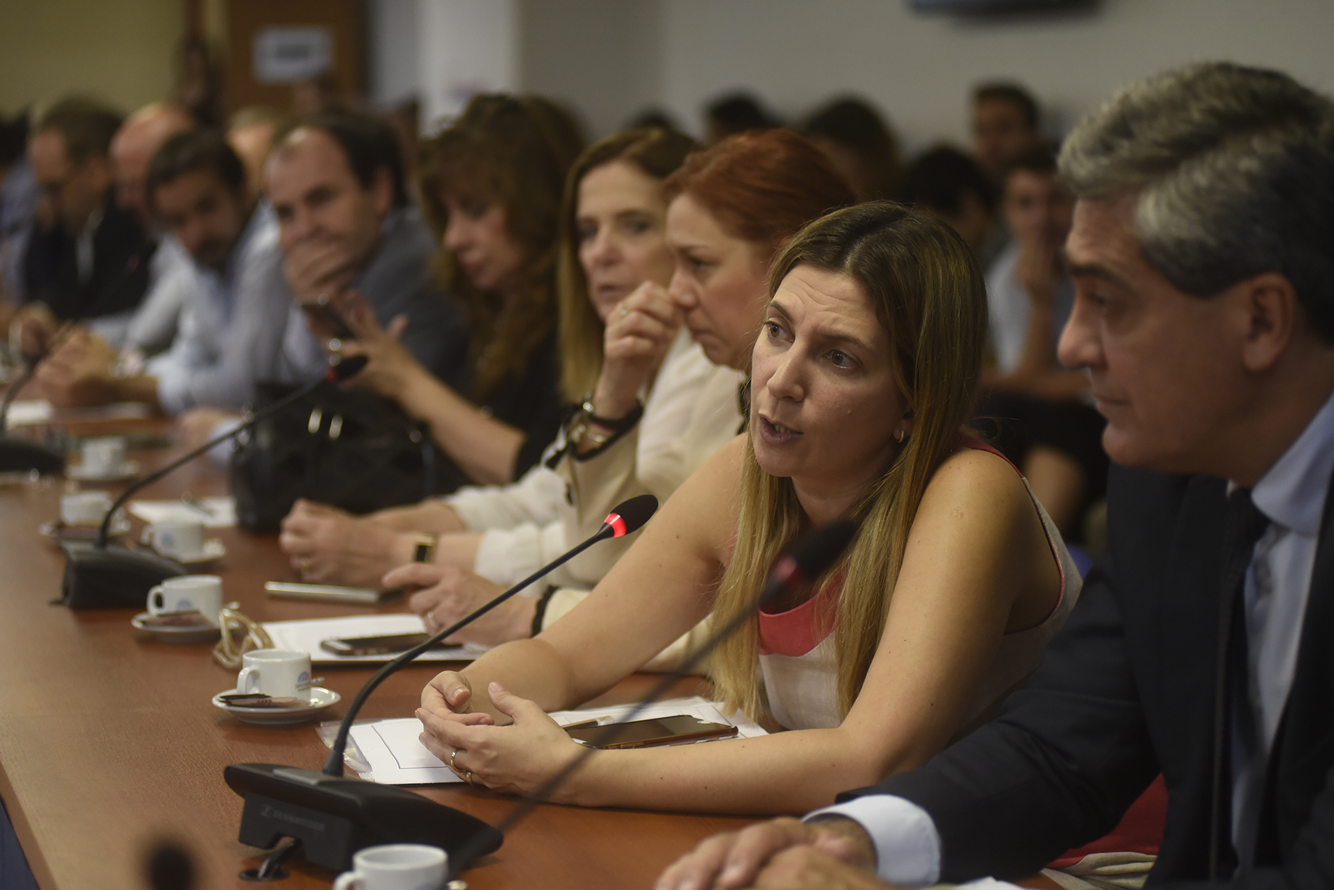 SE REUNIERON LAS COMISIONES DE RELACIONES EXTERIORES Y CULTO; DE TURISMO; DE ECONOMÍA; DE FINANZAS; DE LEGISLACIÓN GENERAL Y DE PRESUPUESTO Y HACIENDA