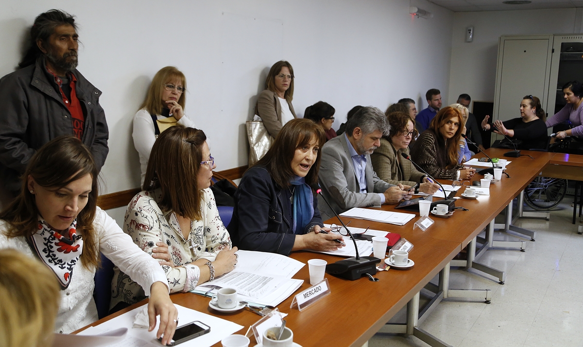 SE REUNIERON LAS COMISIONES DE DISCAPACIDAD, DE RELACIONES EXTERIORES Y CULTO Y DE AGRICULTURA Y GANADERÍA