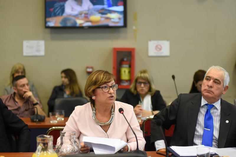 SE REUNIERON DE FORMA CONJUNTA LAS COMISIONES DE LEGISLACIÓN PENAL, FAMILIA, NIÑEZ Y ADOLESCENCIA Y PRESUPUESTO Y HACIENDA; LAS COMISIONES DE ASUNTOS CONSTITUCIONALES, JUSTICIA Y PRESUPUESTO Y HACIENDA; Y LA COMISIÓN BICAMERAL PERMANENTE DEL DEFENSOR DE LOS DERECHOS DE NIÑAS, NIÑOS Y ADOLESCENTES 
