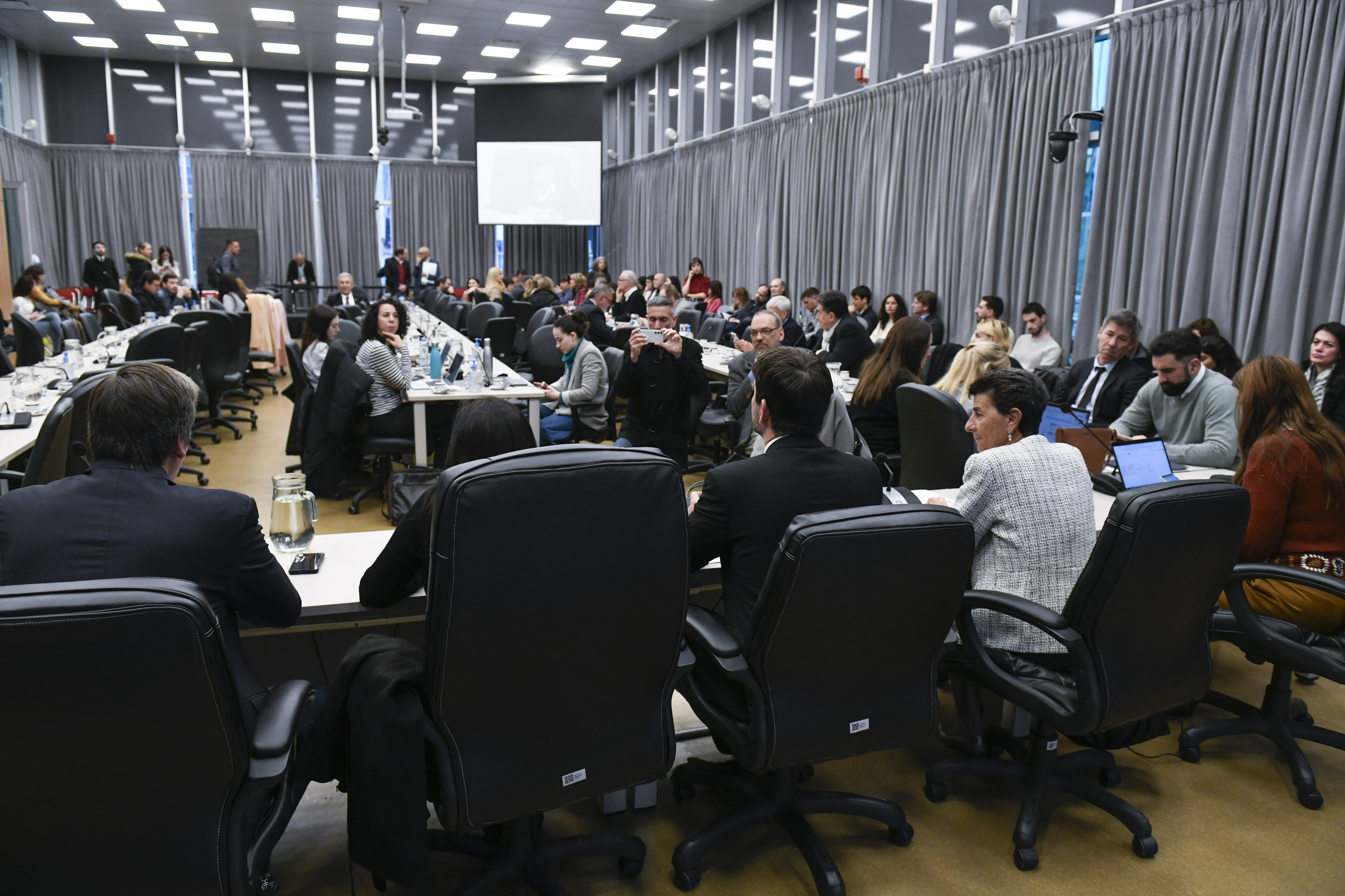 Comisiones de Legislación Penal; Familias, Niñez y Juventudes; Justicia; y Presupuesto y Hacienda