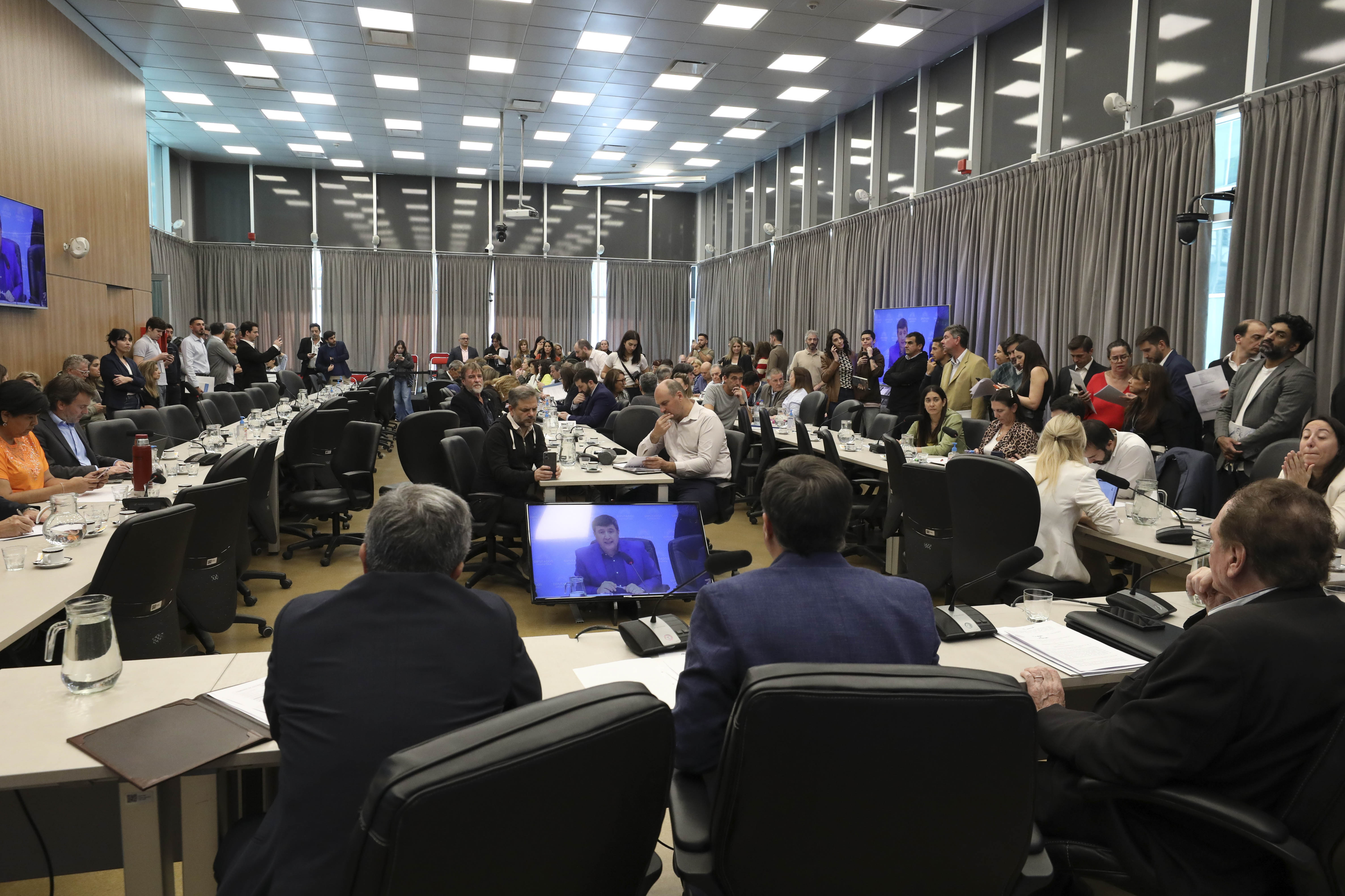 Comisiones de Discapacidad, Acción Social y Salud Pública, y Presupuesto y Hacienda