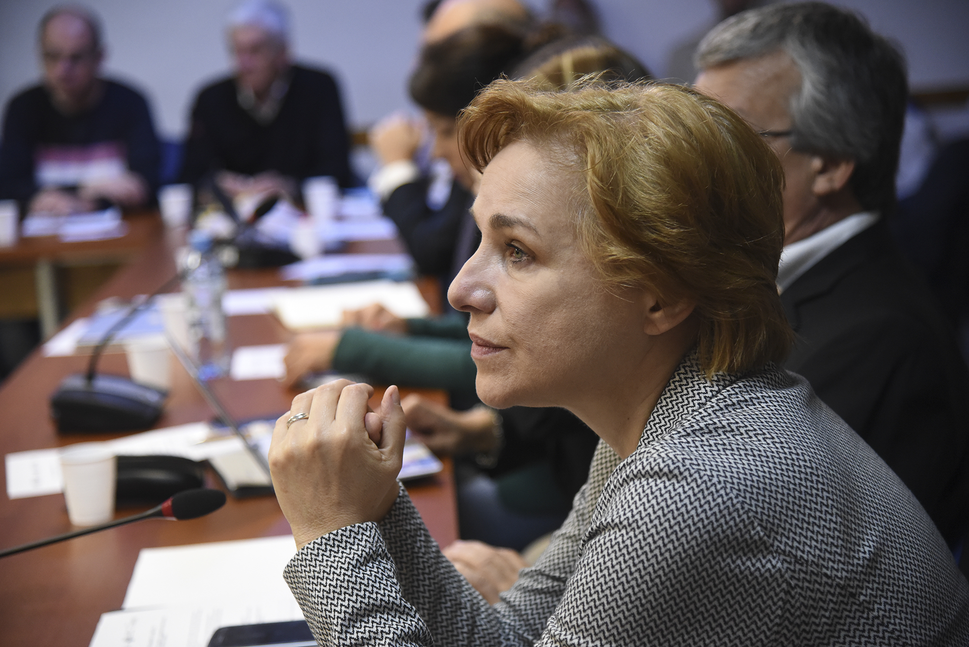 SE REUNIÓ LA COMISIÓN DE RECURSOS NATURALES Y CONSERVACIÓN DEL AMBIENTE HUMANO