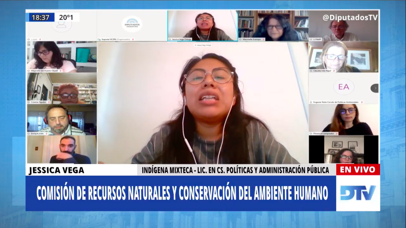 SE REUNIERON LAS COMISIONES DE DISCAPACIDAD; Y DE RECURSOS NATURALES Y CONSERVACIÓN DEL AMBIENTE HUMANO