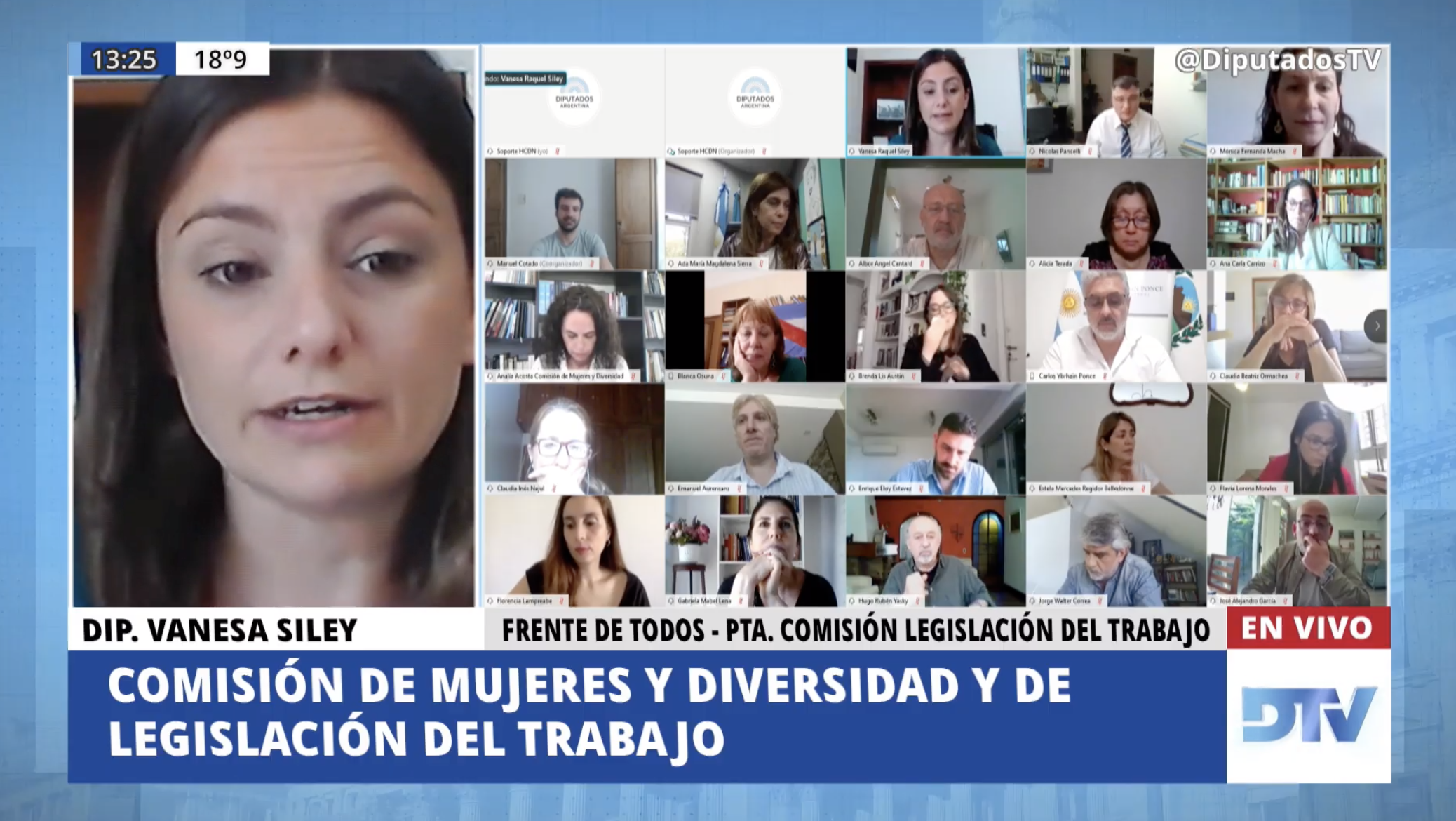 SE REUNIERON LAS COMISIONES DE MUJERES Y DIVERSIDAD; DE LEGISLACIÓN DEL TRABAJO; DE CIENCIA, TECNOLOGÍA E INNOVACIÓN PRODUCTIVA; DE ECONOMÍA; Y DE DEFENSA DEL CONSUIDOR, DEL USUSARIO Y DE LA COMPETENCIA