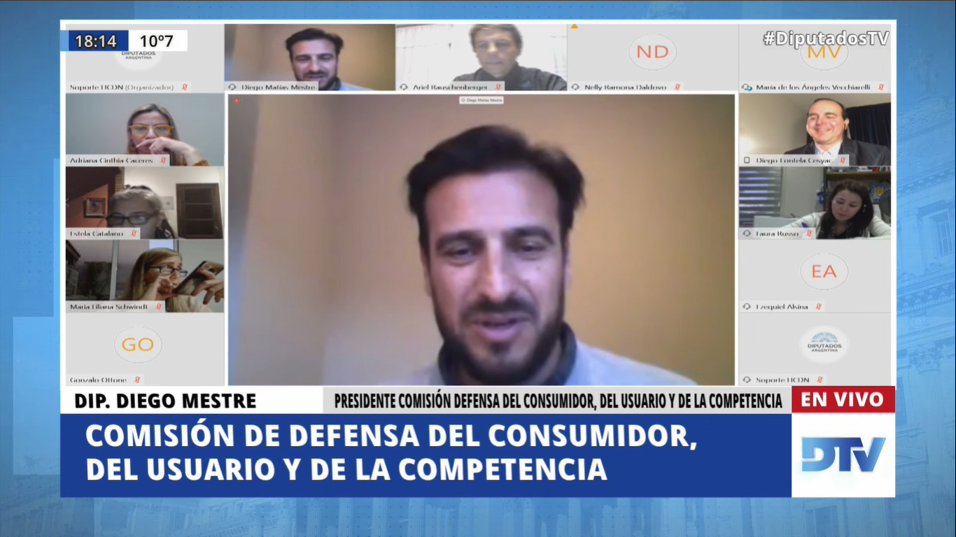 SE REUNIERON LAS COMISIONES DE LEGISLACIÓN PENAL; DE MUJERES Y DIVERSIDAD; Y DE DEFENSA DEL CONSUMIDOR, DEL USUARIO Y DE LA COMPETENCIA