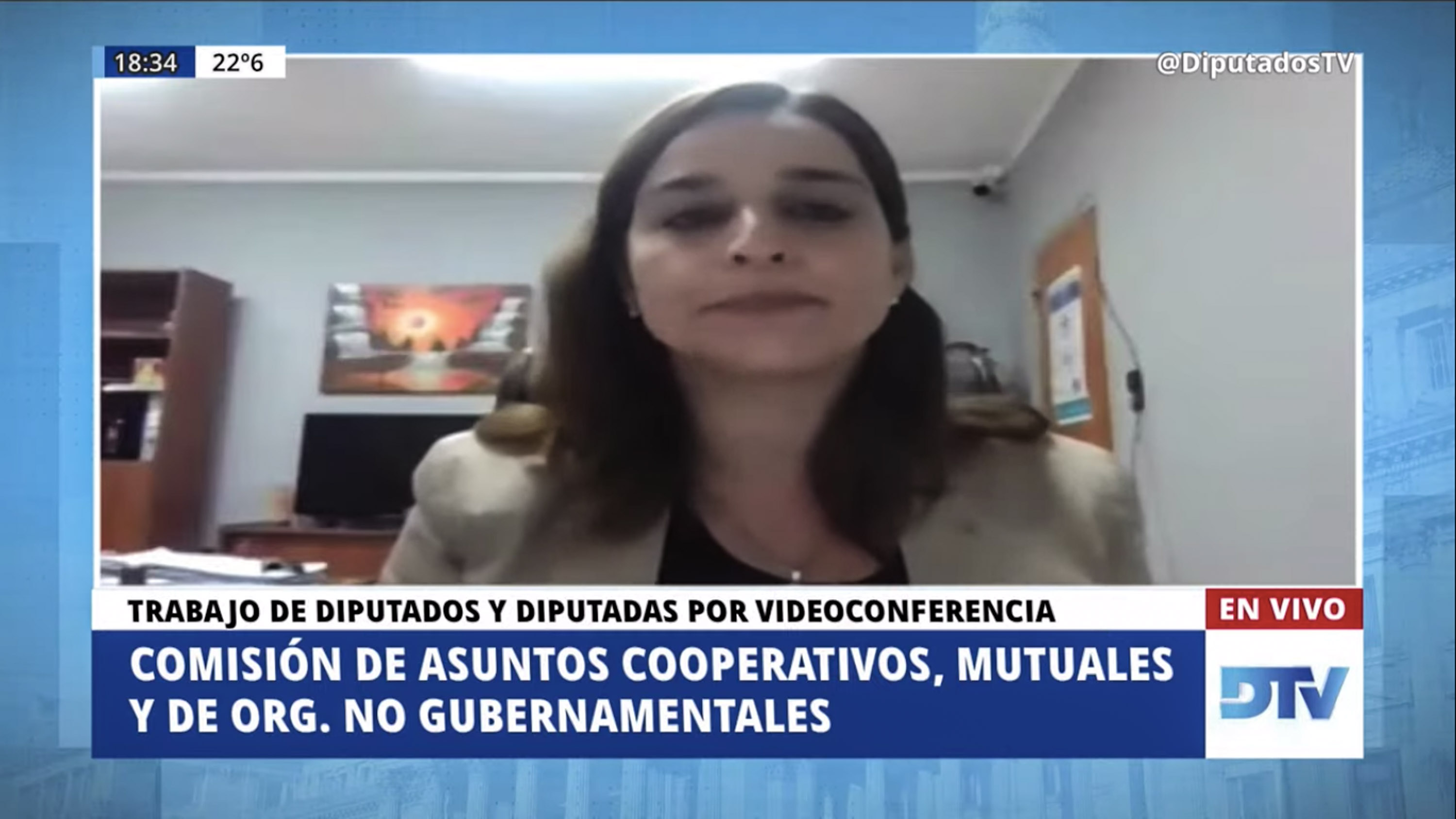 SE REUNIERON LAS COMISIONES DE COMUNICACIONES E INFORMÁTICA; DE FAMILIA, NIÑEZ Y JUVENTUDES; DE ASUNTOS CONSTITUCIONALES; Y DE ASUNTOS COOPERATIVOS, MUTUALES Y DE ORGANIZACIONES NO GUBERNAMENTALES