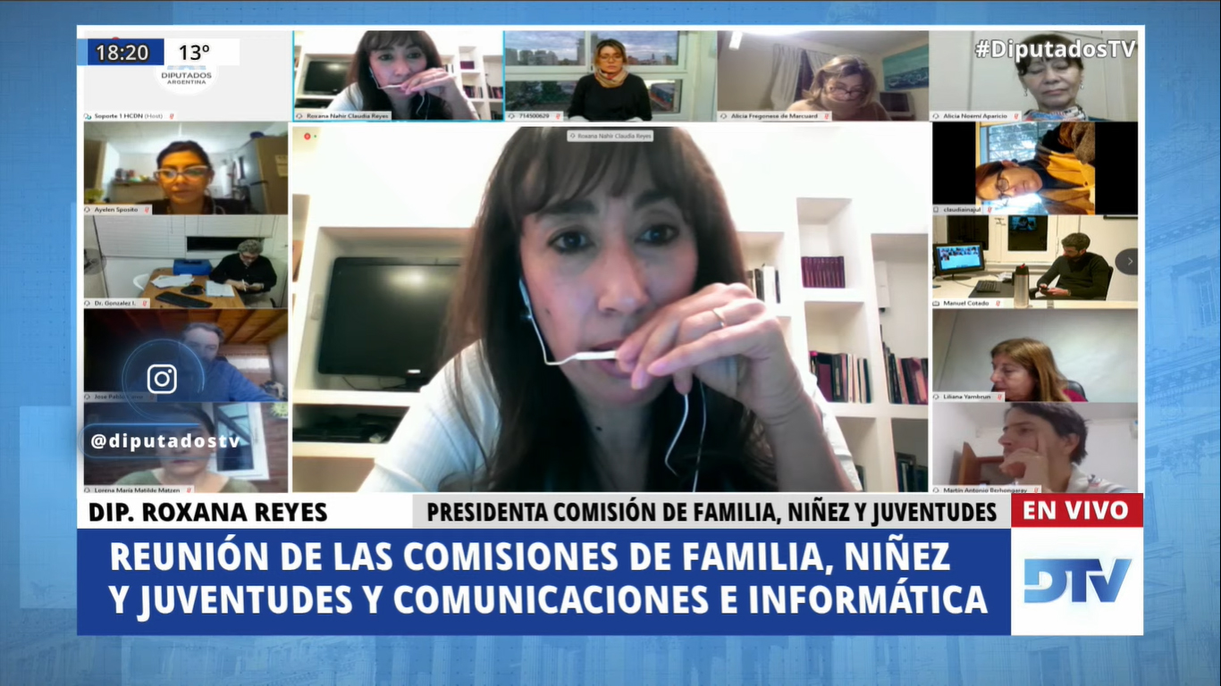 SE REUNIERON LAS COMISIONES DE COMERCIO; DE FAMILIAS, NIÑEZ Y JUVENTUDES; Y DE COMUNICACIONES E INFORMÁTICA
