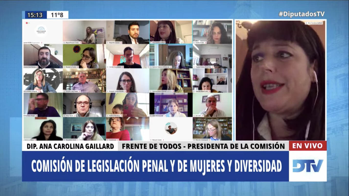 SE REUNIERON LAS COMISIONES DE LEGISLACIÓN PENAL; DE MUJERES Y DIVERSIDAD; Y LA ESPECIAL MIXTA DISPUESTA EN LOS ARTÍCULOS 55 Y 56 DE LA LEY 27.541