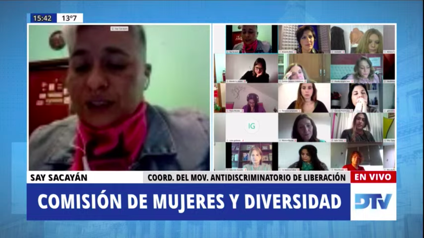 SE REUNIERON LAS COMISIONES DE MUJERES Y DIVERSIDAD; Y DE LIBERTAD DE EXPRESIÓN