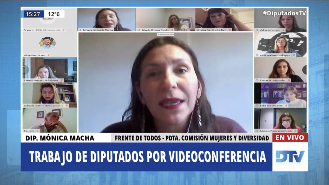 SE REUNIERON LAS COMISIONES DE LEGISLACIÓN PENAL; DE MUJERES Y DIVERSIDAD; Y LA ESPECIAL MIXTA DISPUESTA EN LOS ARTÍCULOS 55 Y 56 DE LA LEY 27.541