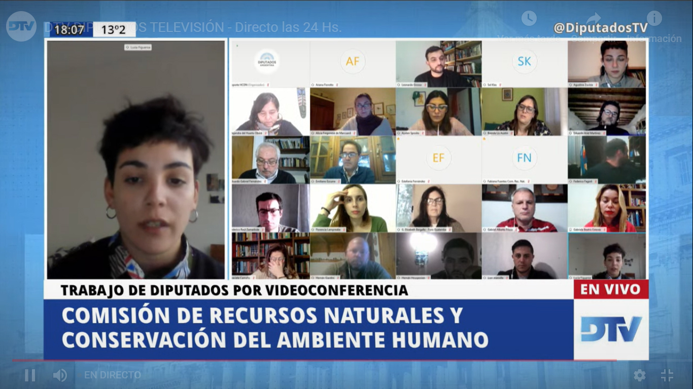 SE REUNIÓ LA COMISIÓN DE RECURSOS NATURALES Y CONSERVACIÓN DEL AMBIENTE HUMANO