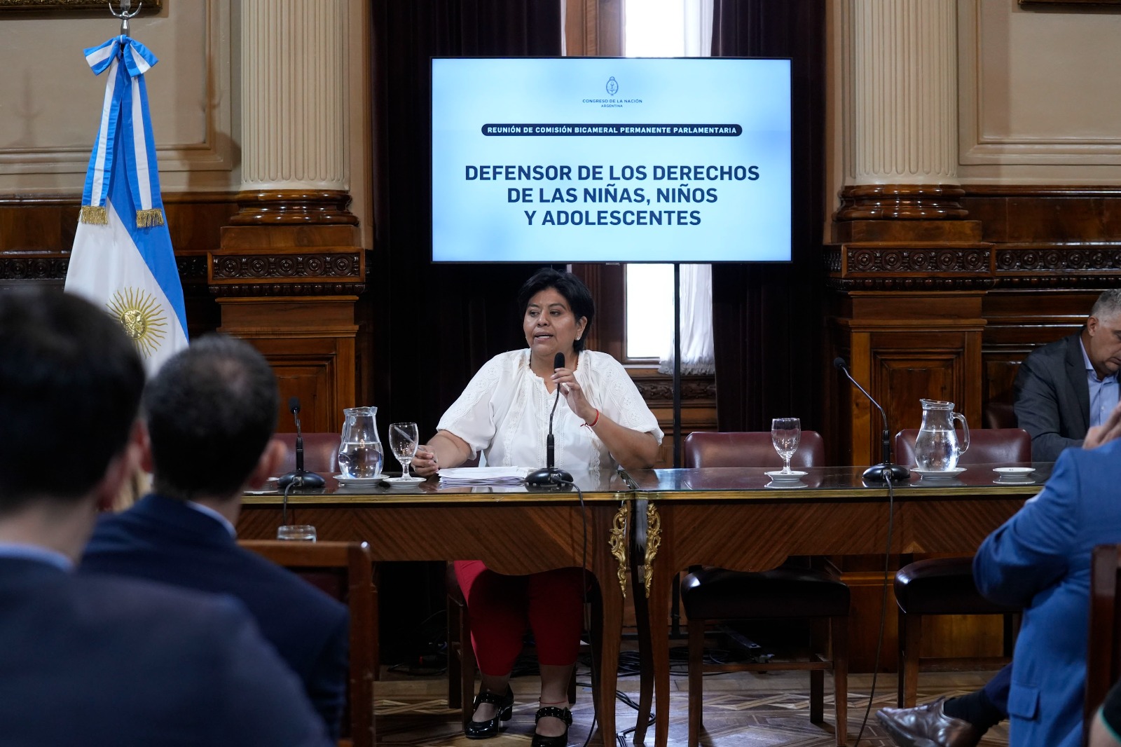 Foto reunión de Comisión Bicameral de las Niñas, Niños y Adolescentes (ley 26.601)