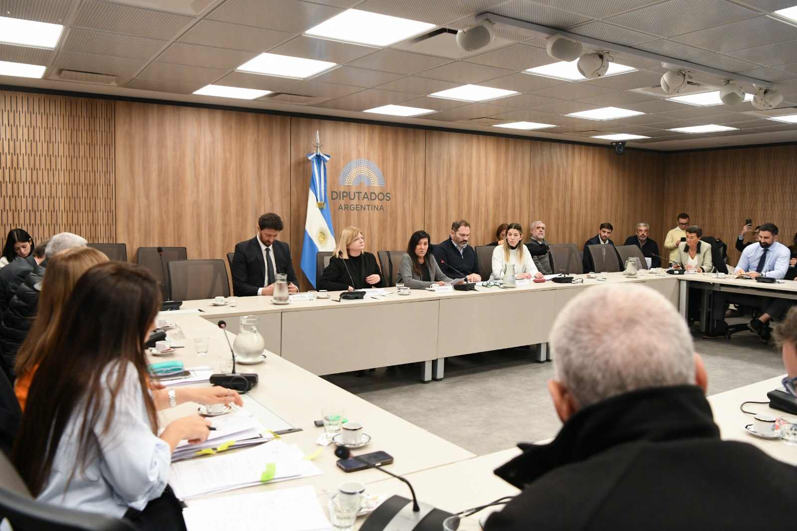 Galeria de imagenes de la noticia REALIZARON UNA REUNIÓN INFORMATIVA ACERCA DEL RÉGIMEN PARA LA PREVENCIÓN DEL DELITO EN ESPECTÁCULOS DEPORTIVOS