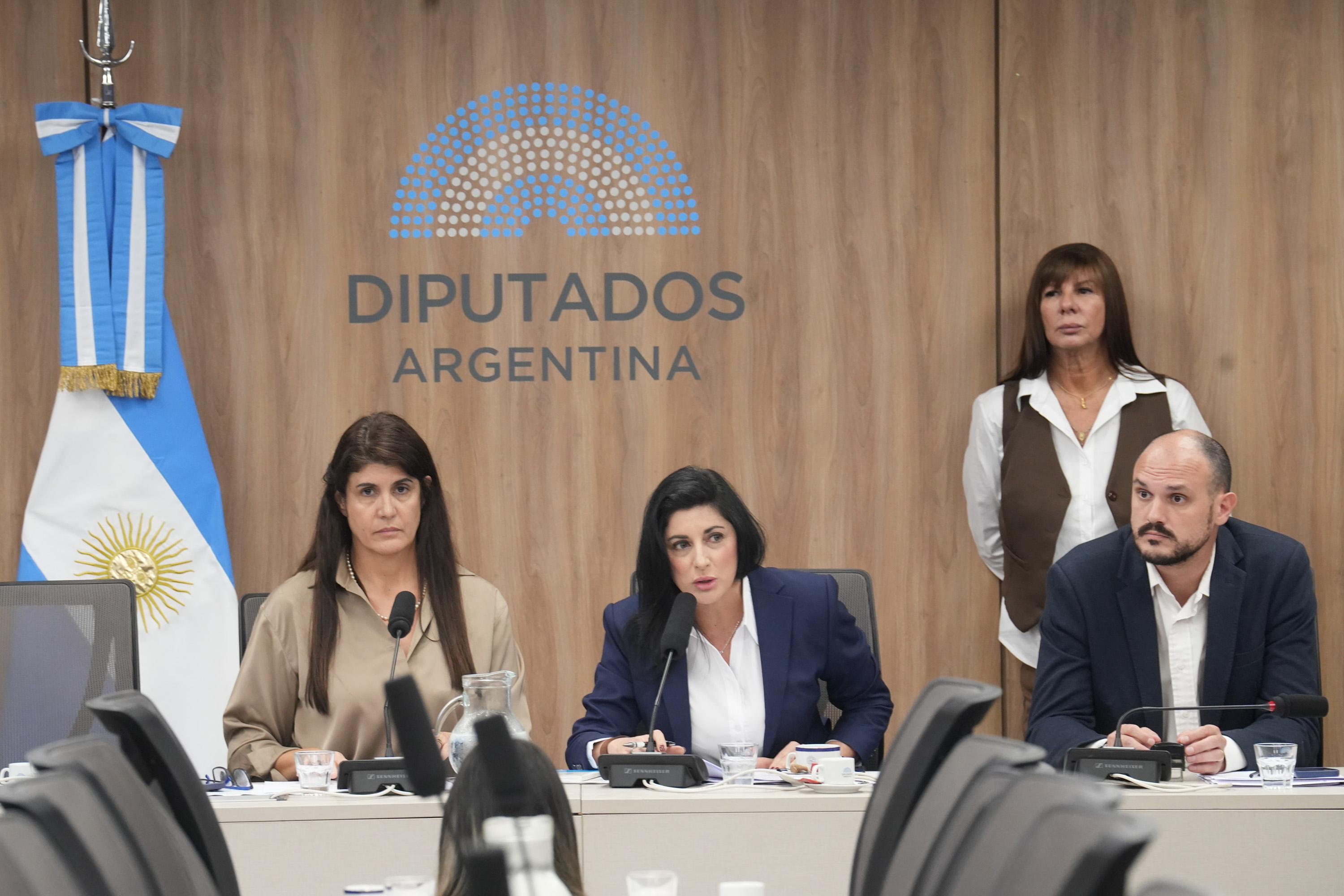 Galeria de imagenes de la noticia APROBARON EN COMISIÓN UN CONVENIO INTERNACIONAL SOBRE COBRO DE ALIMENTOS PARA NIÑOS