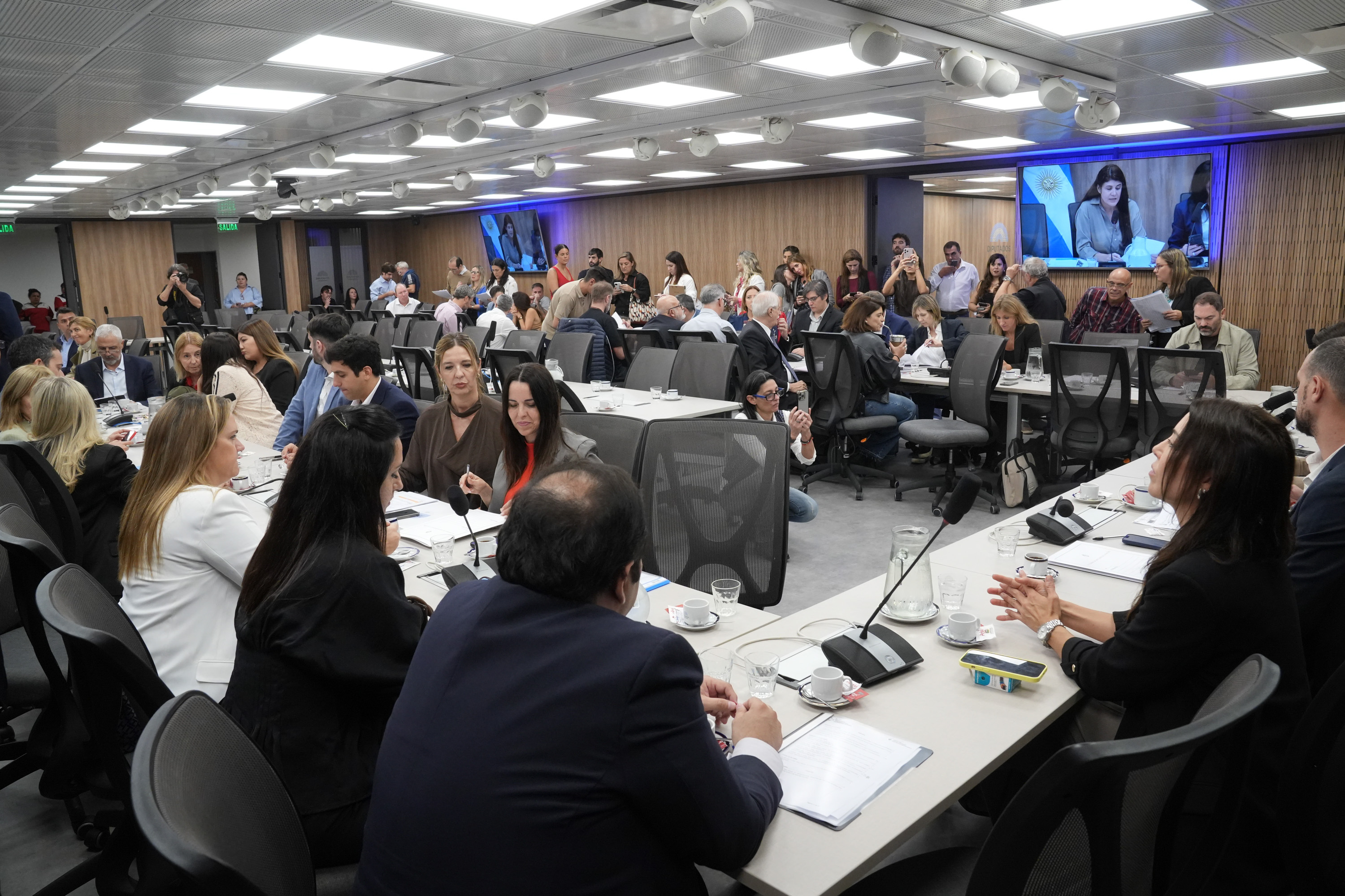 Galeria de imagenes de la noticia APROBARON EN COMISIÓN UN CONVENIO INTERNACIONAL SOBRE COBRO DE ALIMENTOS PARA NIÑOS