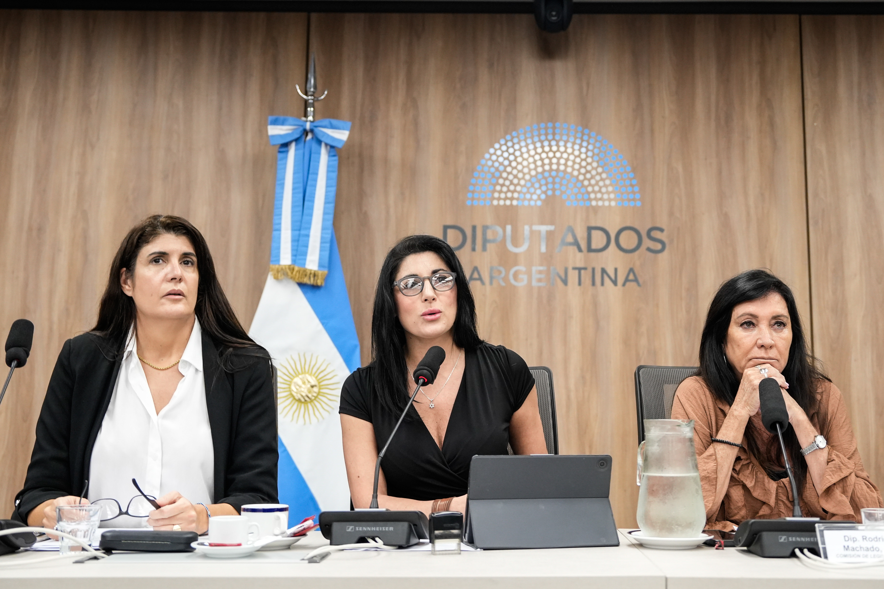 Galeria de imagenes de la noticia LA COMISIÓN DE RELACIONES EXTERIORES AVANZÓ CON LA APROBACIÓN DE DISTINTOS TRATADOS INTERNACIONALES