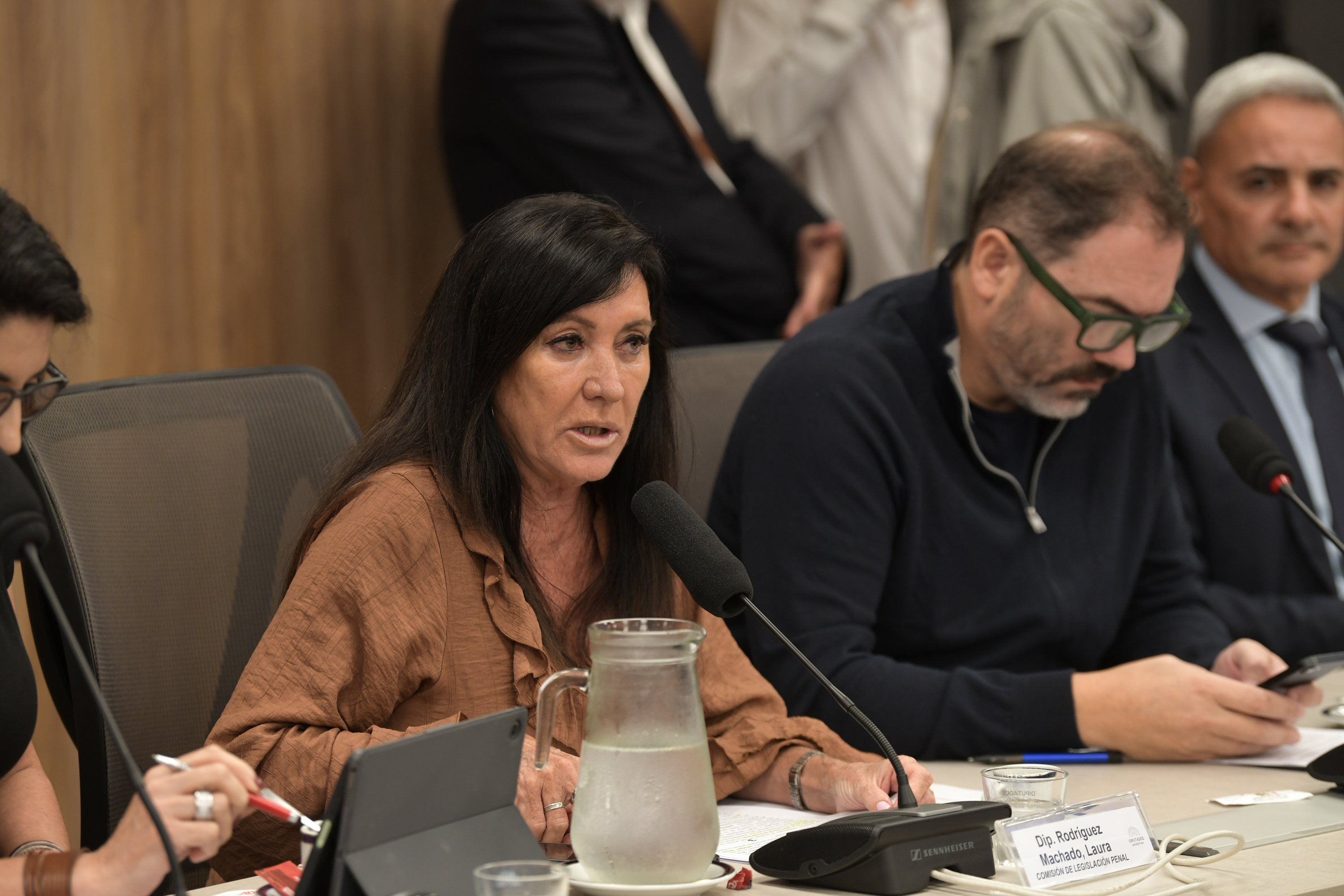 Galeria de imagenes de la noticia LA COMISIÓN DE RELACIONES EXTERIORES AVANZÓ CON LA APROBACIÓN DE DISTINTOS TRATADOS INTERNACIONALES