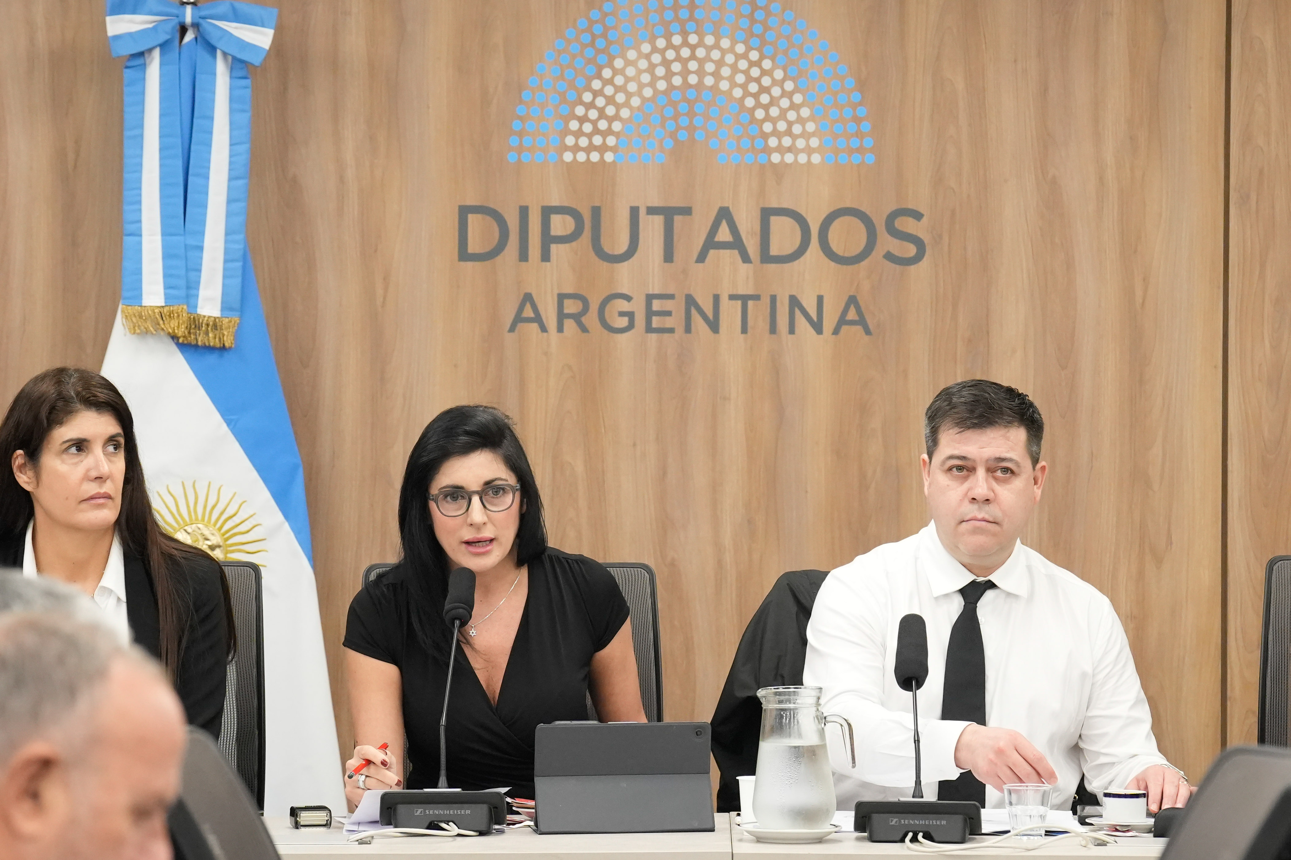 Galeria de imagenes de la noticia LA COMISIÓN DE RELACIONES EXTERIORES AVANZÓ CON LA APROBACIÓN DE DISTINTOS TRATADOS INTERNACIONALES