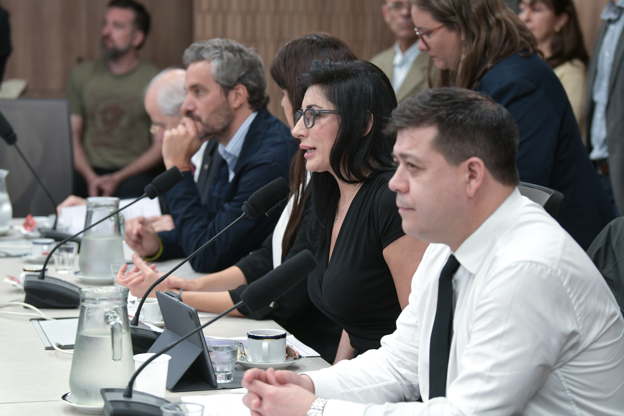 Galeria de imagenes de la noticia LA COMISIÓN DE RELACIONES EXTERIORES AVANZÓ CON LA APROBACIÓN DE DISTINTOS TRATADOS INTERNACIONALES