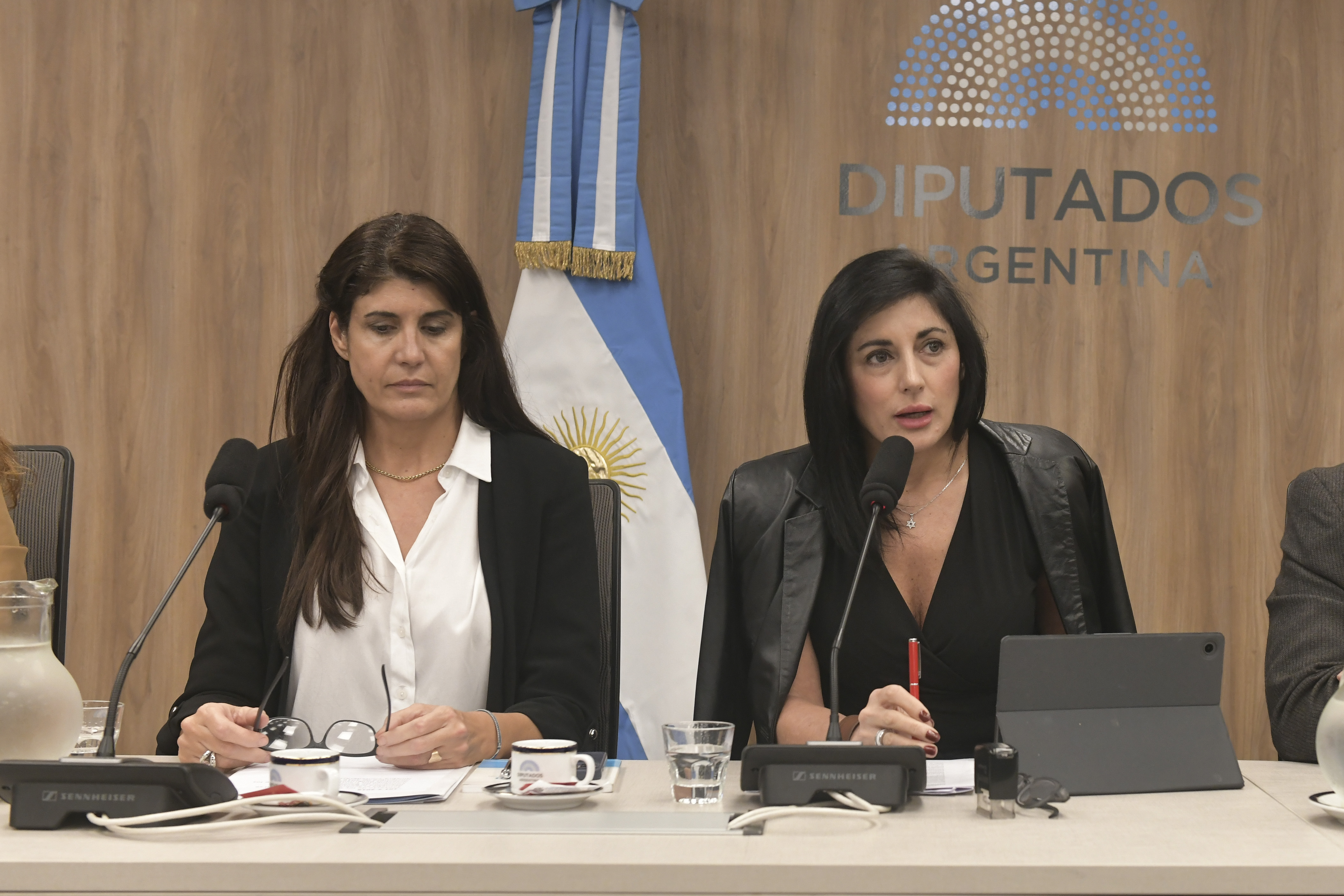 Galeria de imagenes de la noticia LA COMISIÓN DE RELACIONES EXTERIORES AVANZÓ CON LA APROBACIÓN DE DISTINTOS TRATADOS INTERNACIONALES