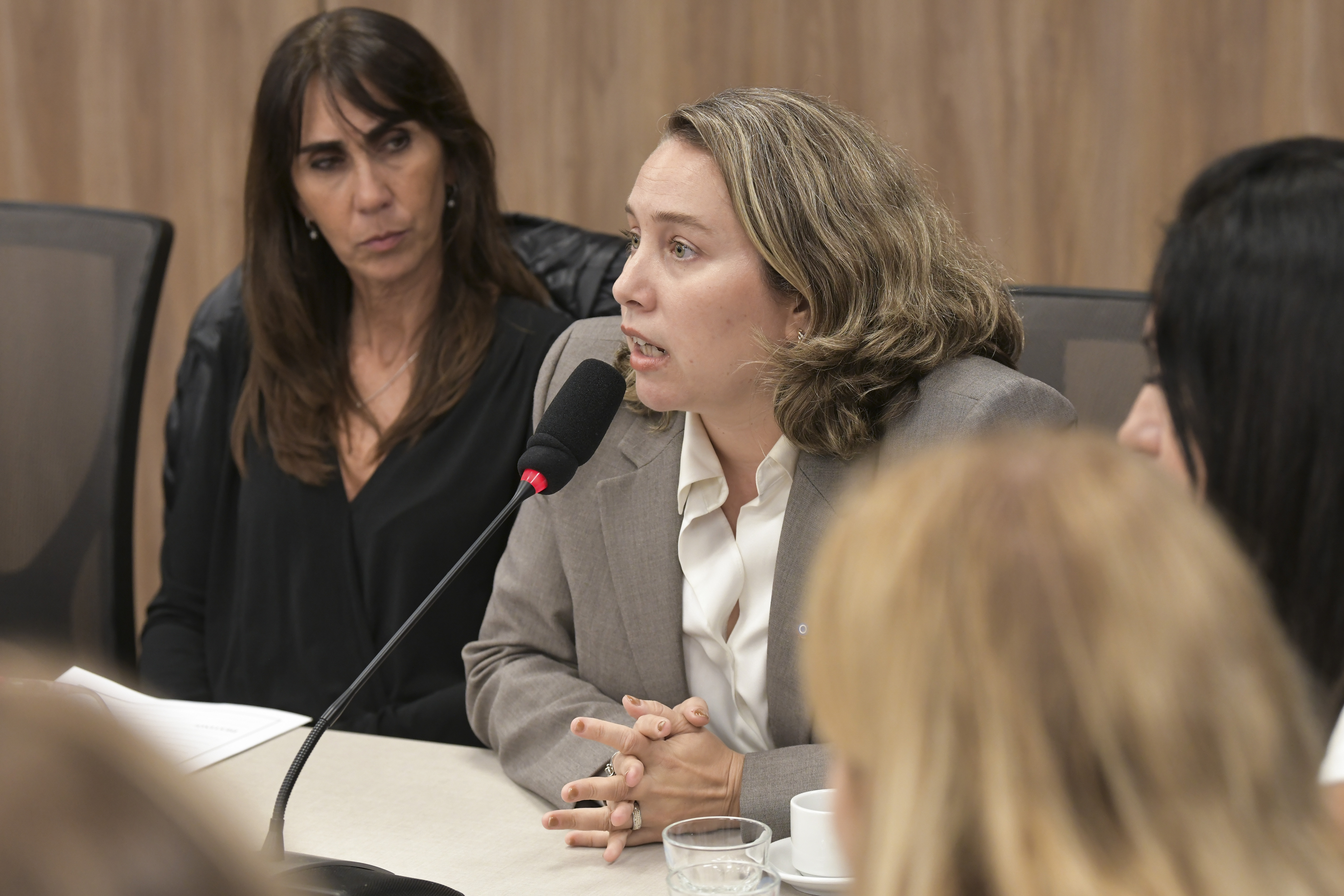 Galeria de imagenes de la noticia LA COMISIÓN DE RELACIONES EXTERIORES AVANZÓ CON LA APROBACIÓN DE DISTINTOS TRATADOS INTERNACIONALES