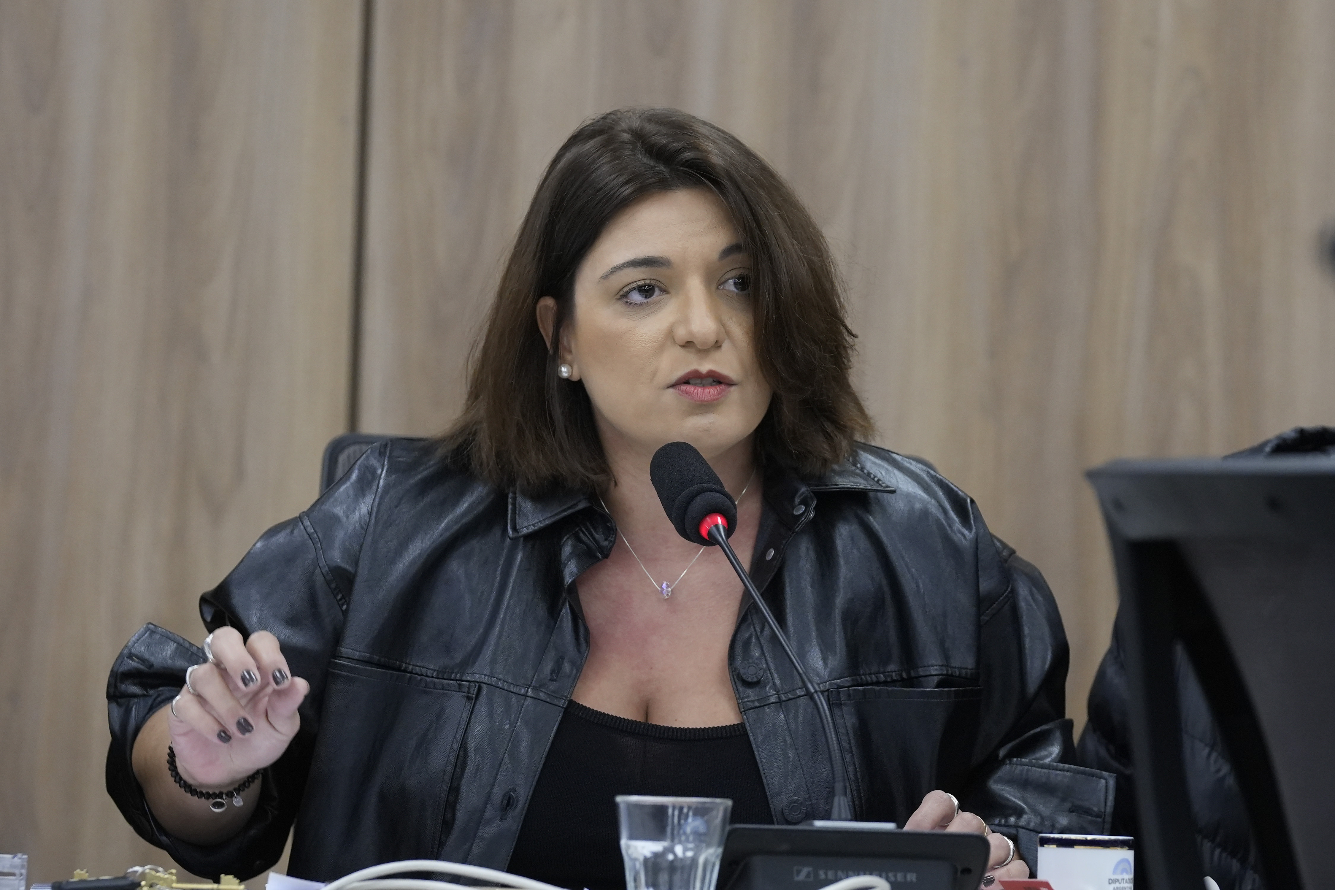 Galeria de imagenes de la noticia LA COMISIÓN DE RELACIONES EXTERIORES AVANZÓ CON LA APROBACIÓN DE DISTINTOS TRATADOS INTERNACIONALES