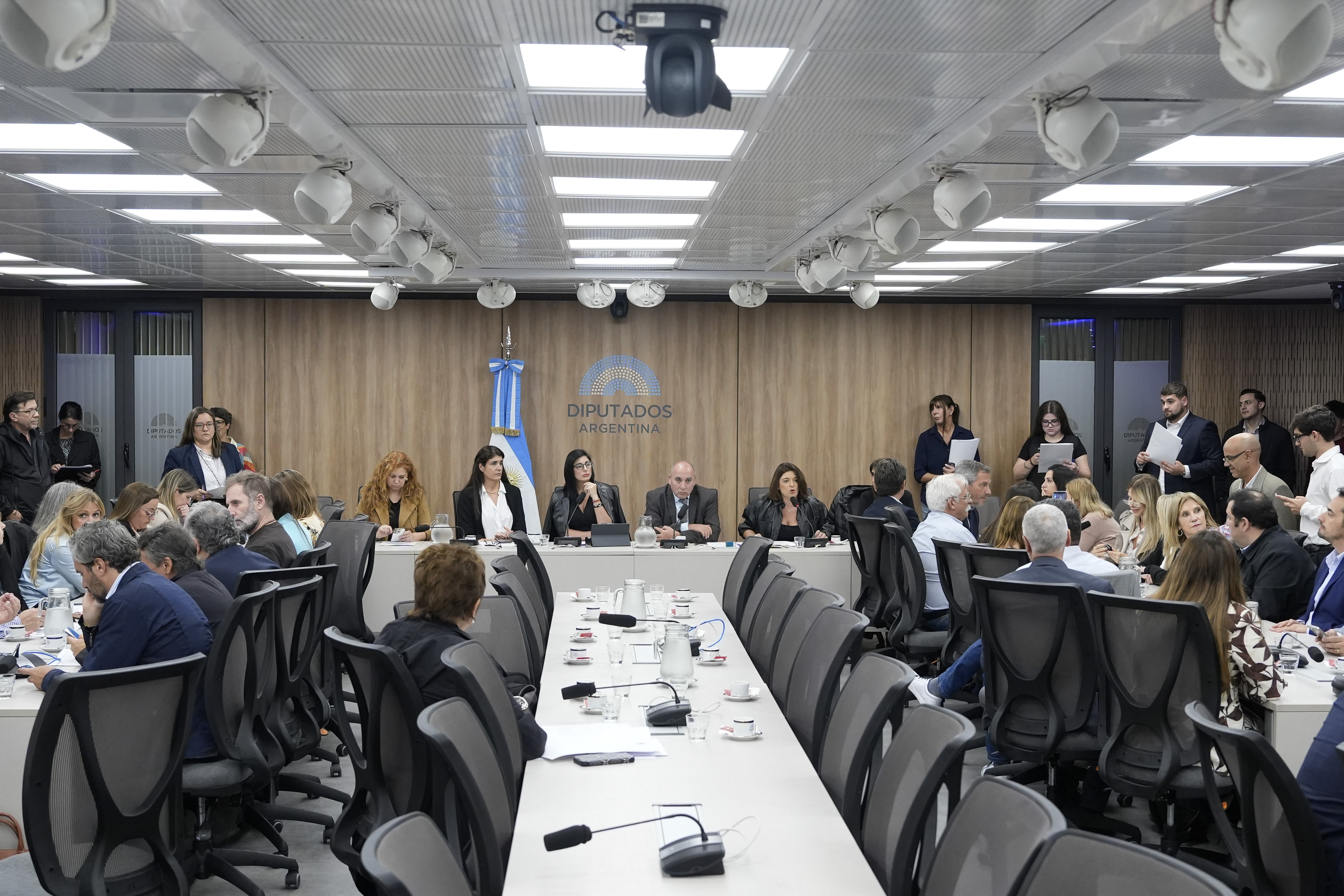 Galeria de imagenes de la noticia LA COMISIÓN DE RELACIONES EXTERIORES AVANZÓ CON LA APROBACIÓN DE DISTINTOS TRATADOS INTERNACIONALES