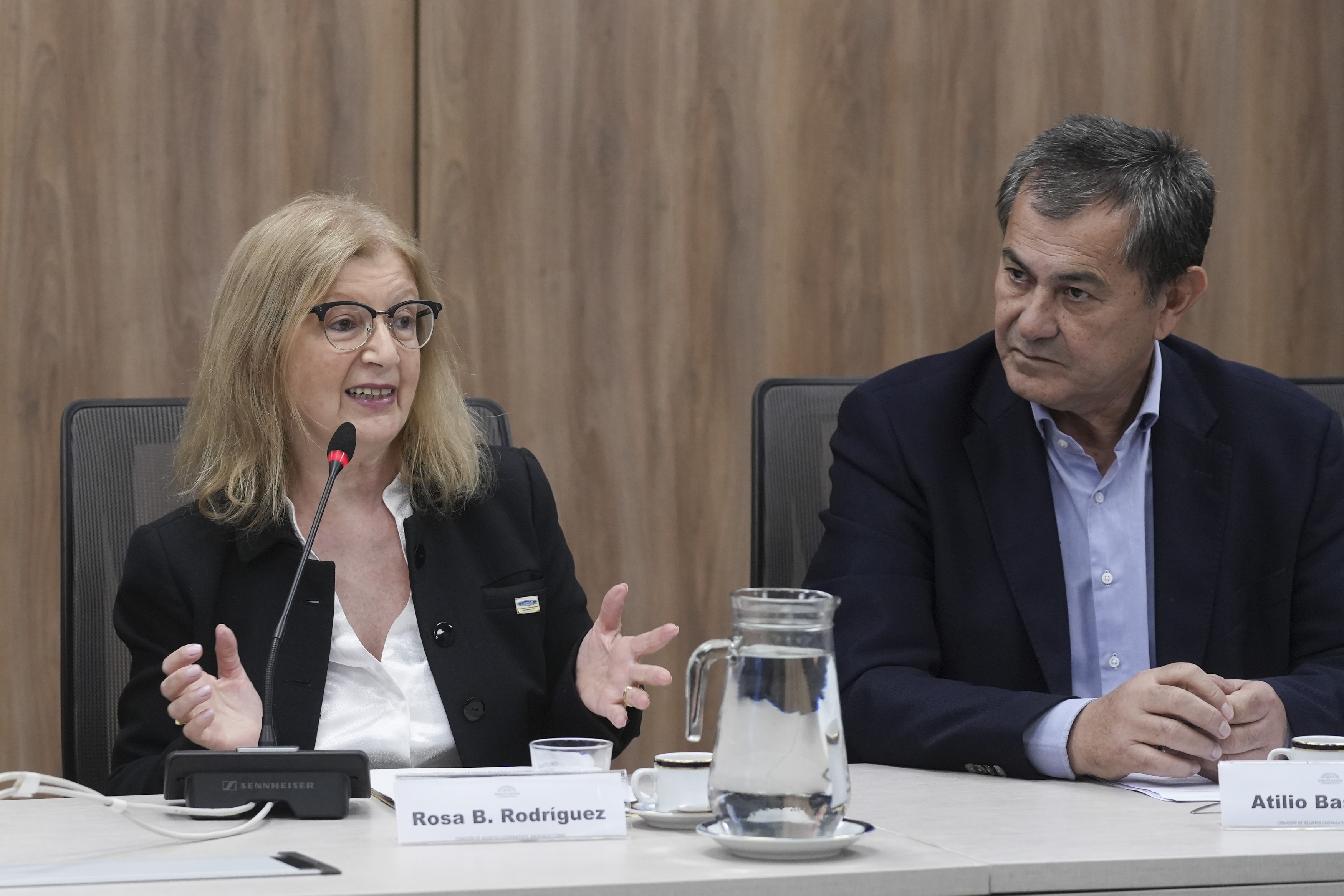 Galeria de imagenes de la noticia INTEGRANTES DE LA CONFEDERACIÓN DE MUTUALIDADES EXPUSIERON EN LA COMISIÓN DE ASUNTOS COOPERATIVOS