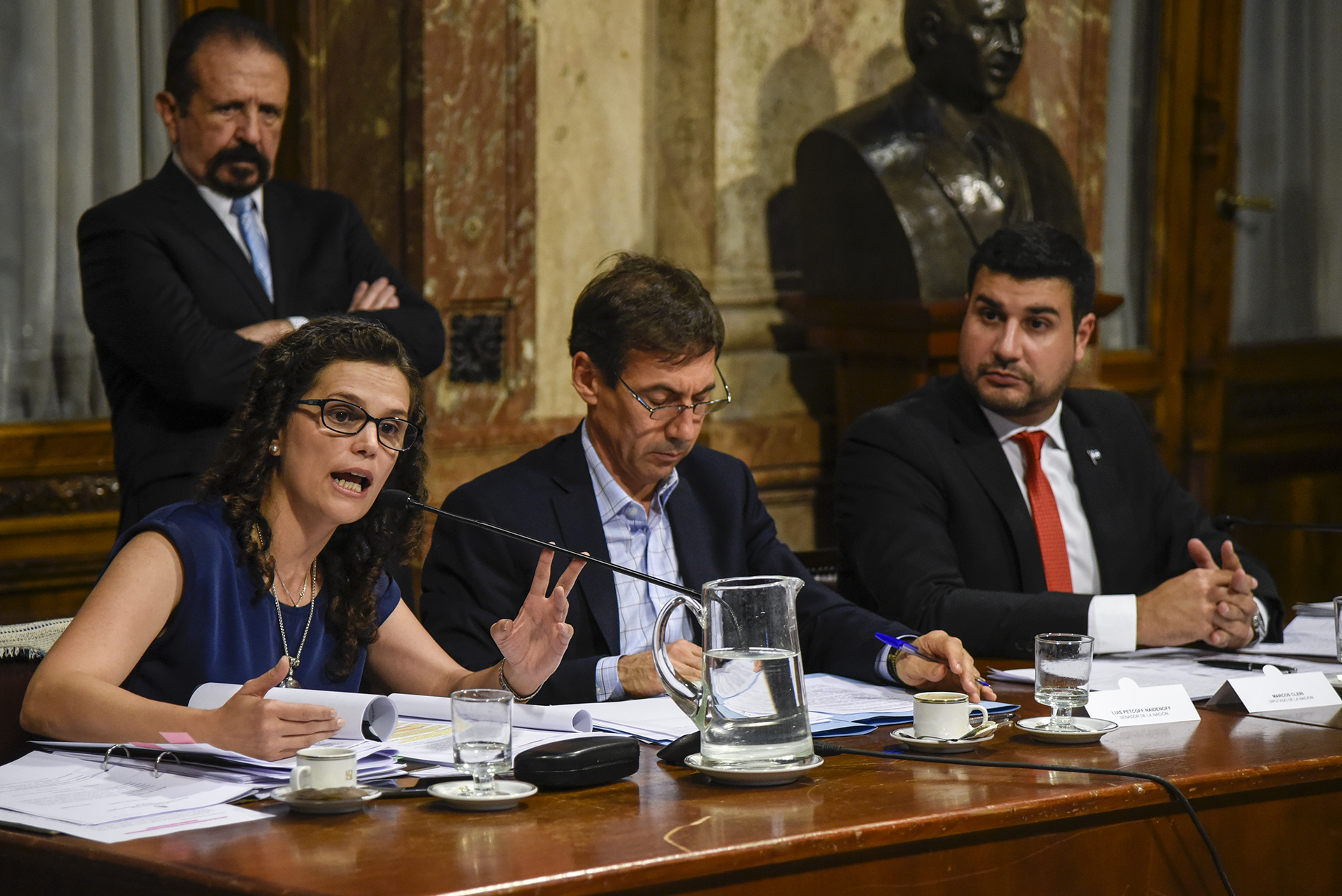 Galeria de imagenes de la noticia RECHAZO OPOSITOR EN EL CONGRESO AL DECRETO QUE ESTABLECE LA EXTINCIÓN DE DOMINIO 